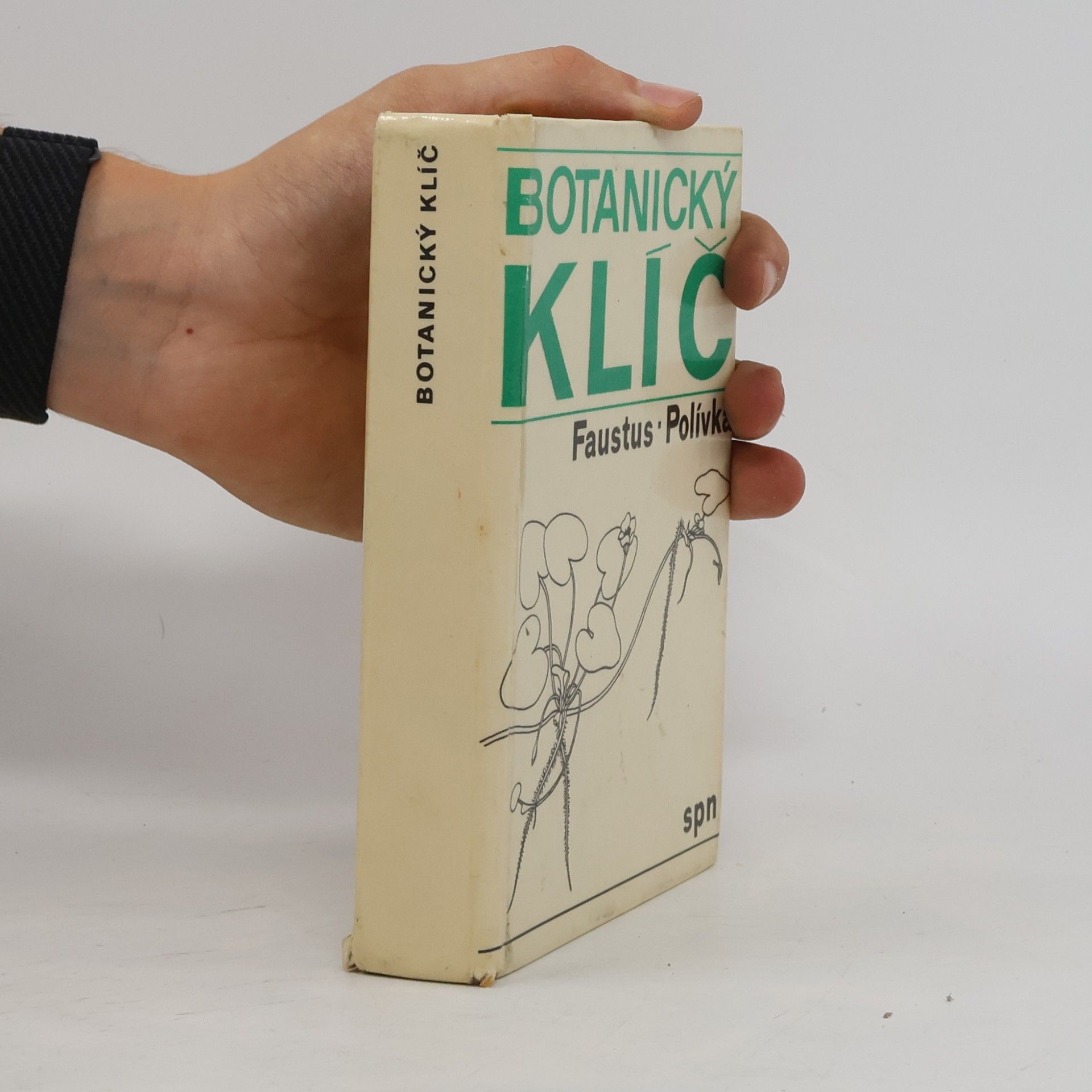 Luděk Faustus Botanický klíč
