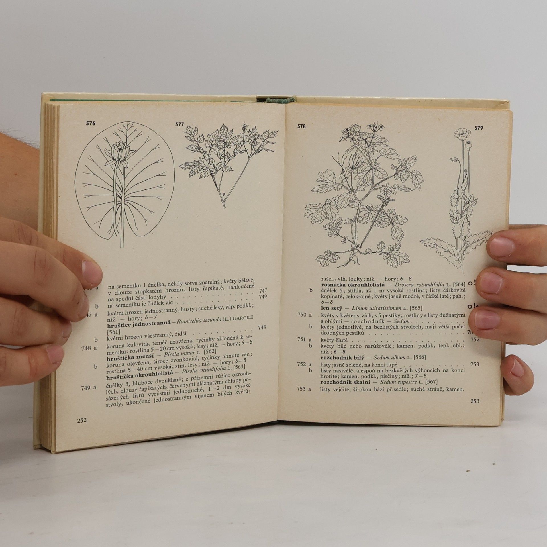 Luděk Faustus Botanický klíč