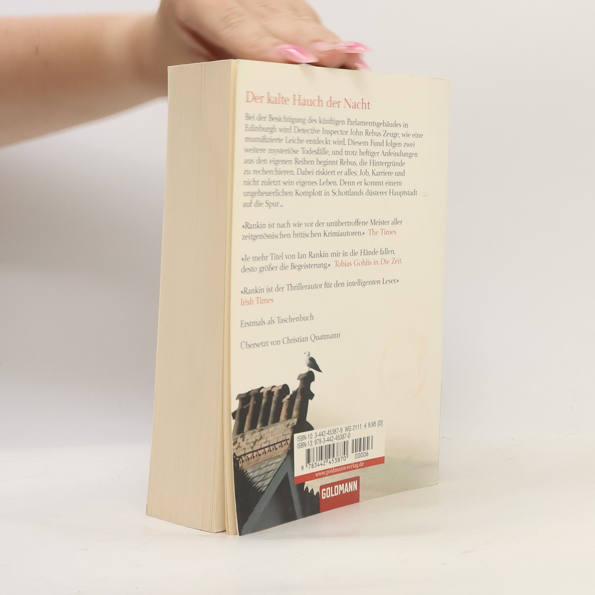 Ian Rankin Der kalte Hauch der Nacht
