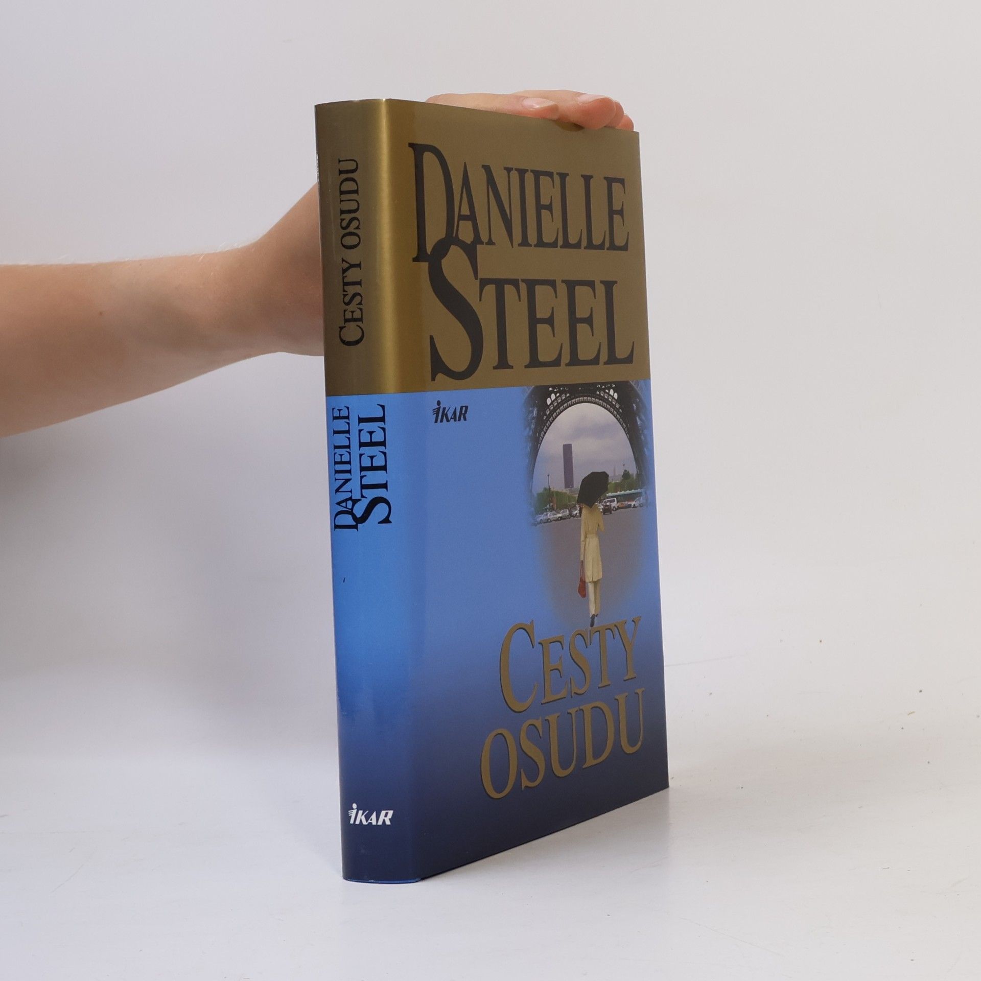 Danielle Steel Cesty osudu