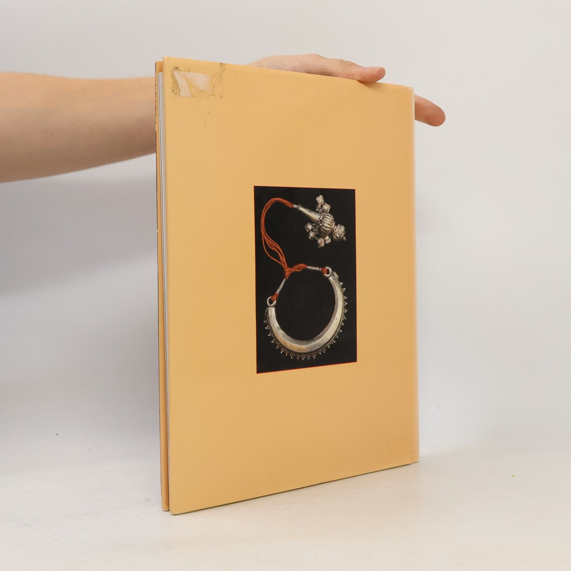 Jaya Jaitly The Craft Traditions of India