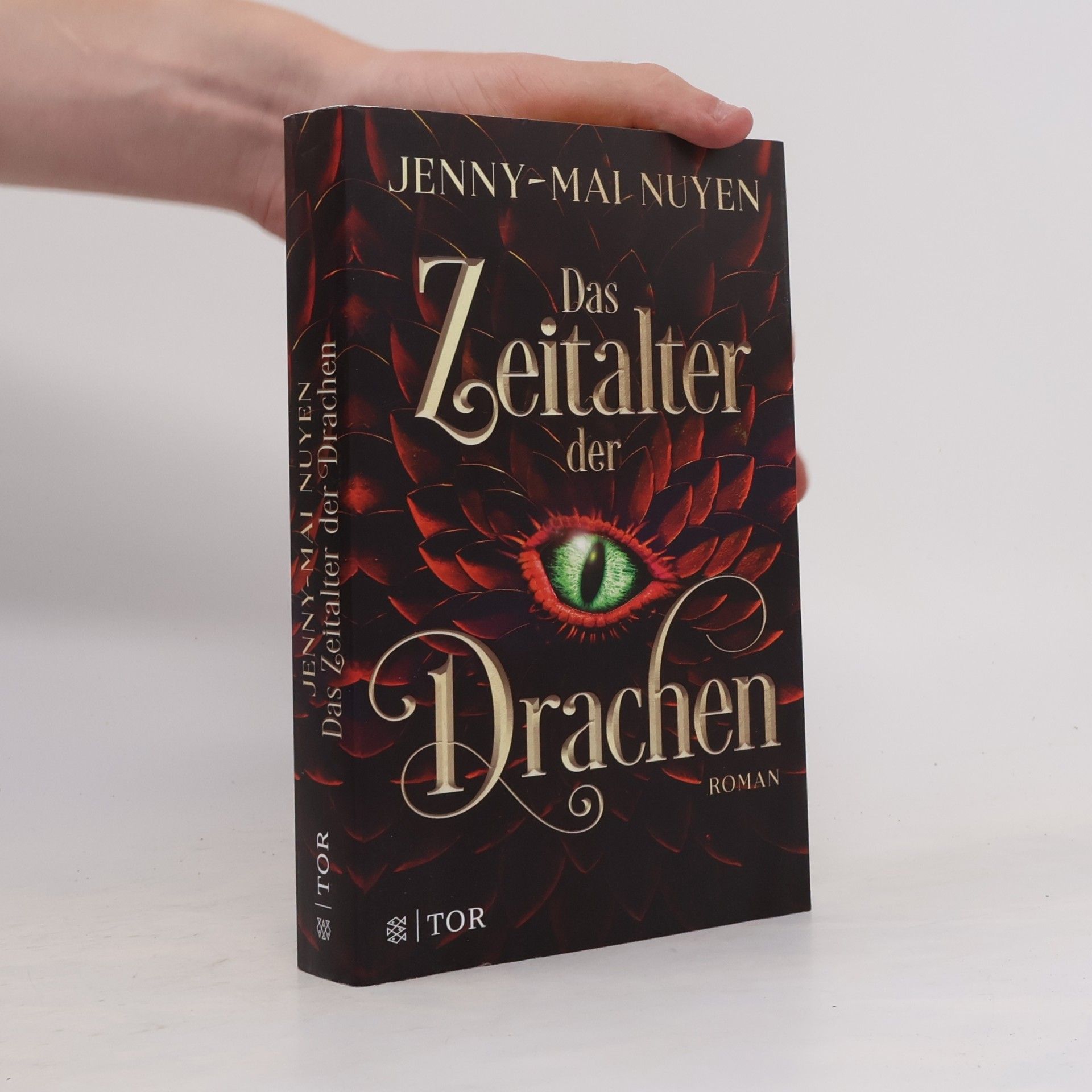 Jenny-Mai Nuyen Die Töchter von Ilian