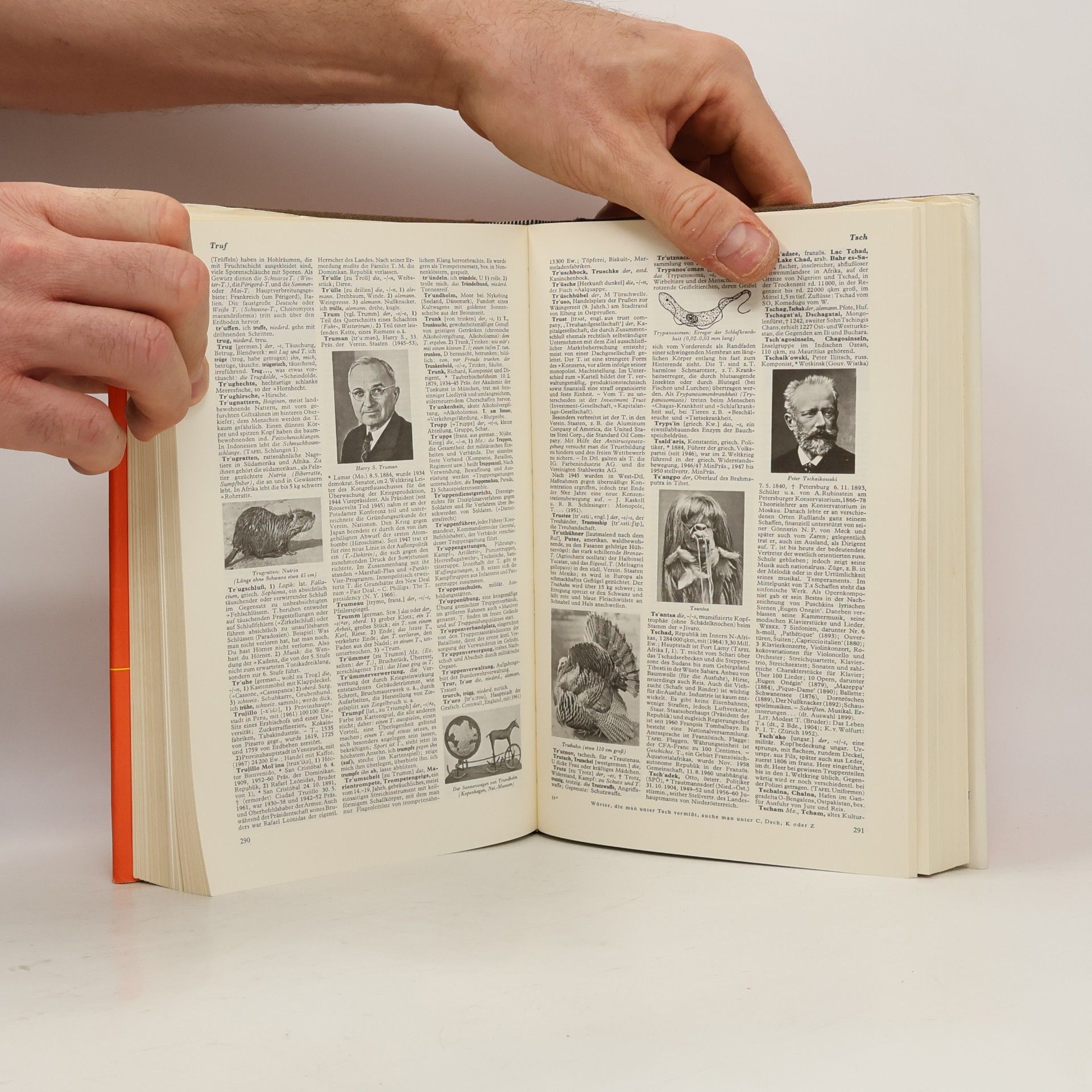Autorenkollektiv Der Neue Brockhaus. Lexikon und Wörterbuch 2.
