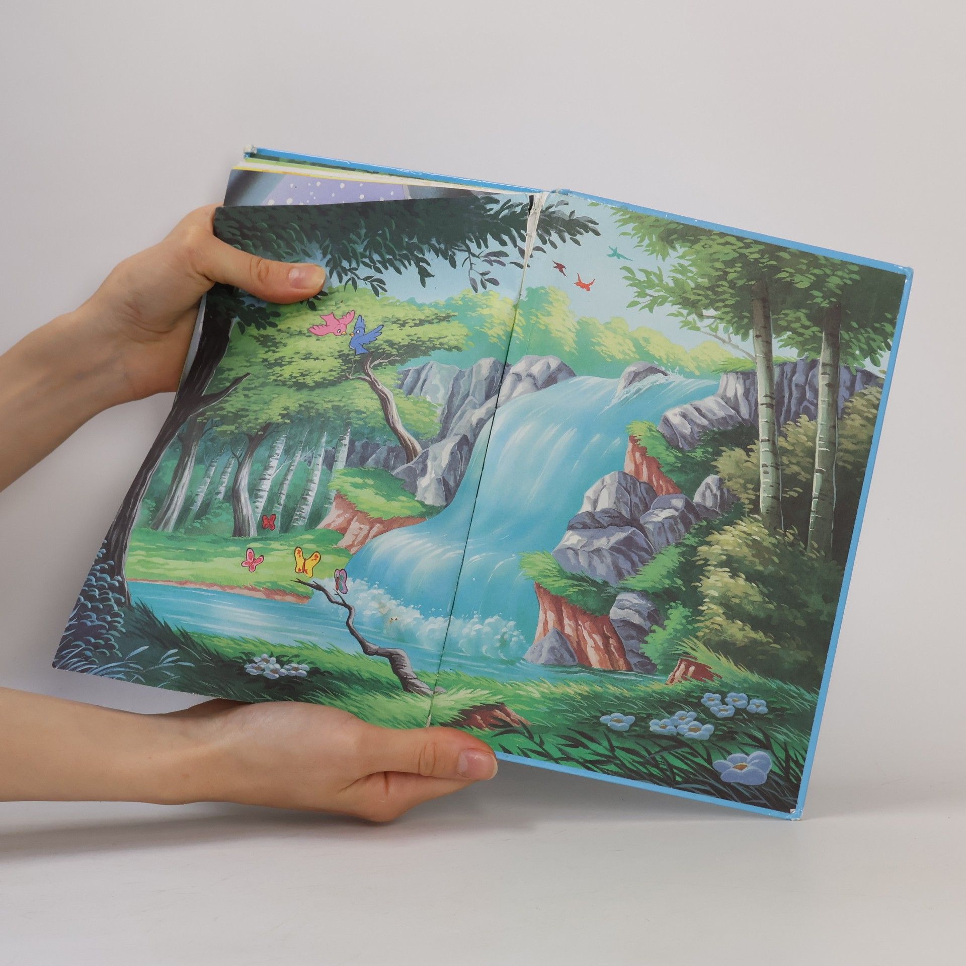 Walt Disney Bambi a nešťastný medvěd