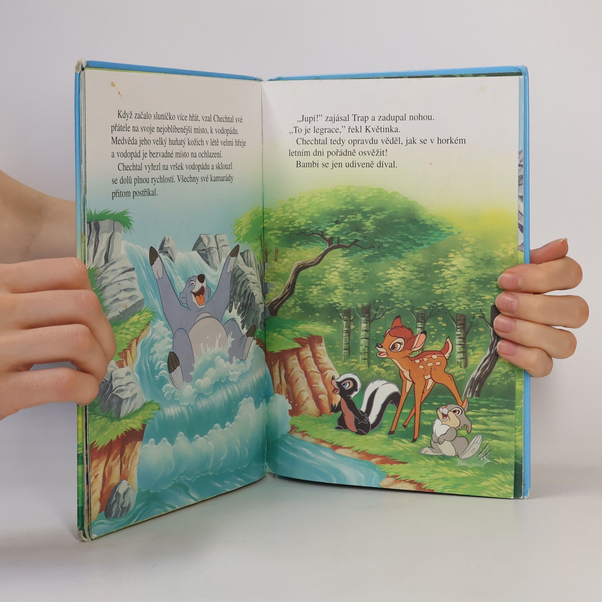 Walt Disney Bambi a nešťastný medvěd