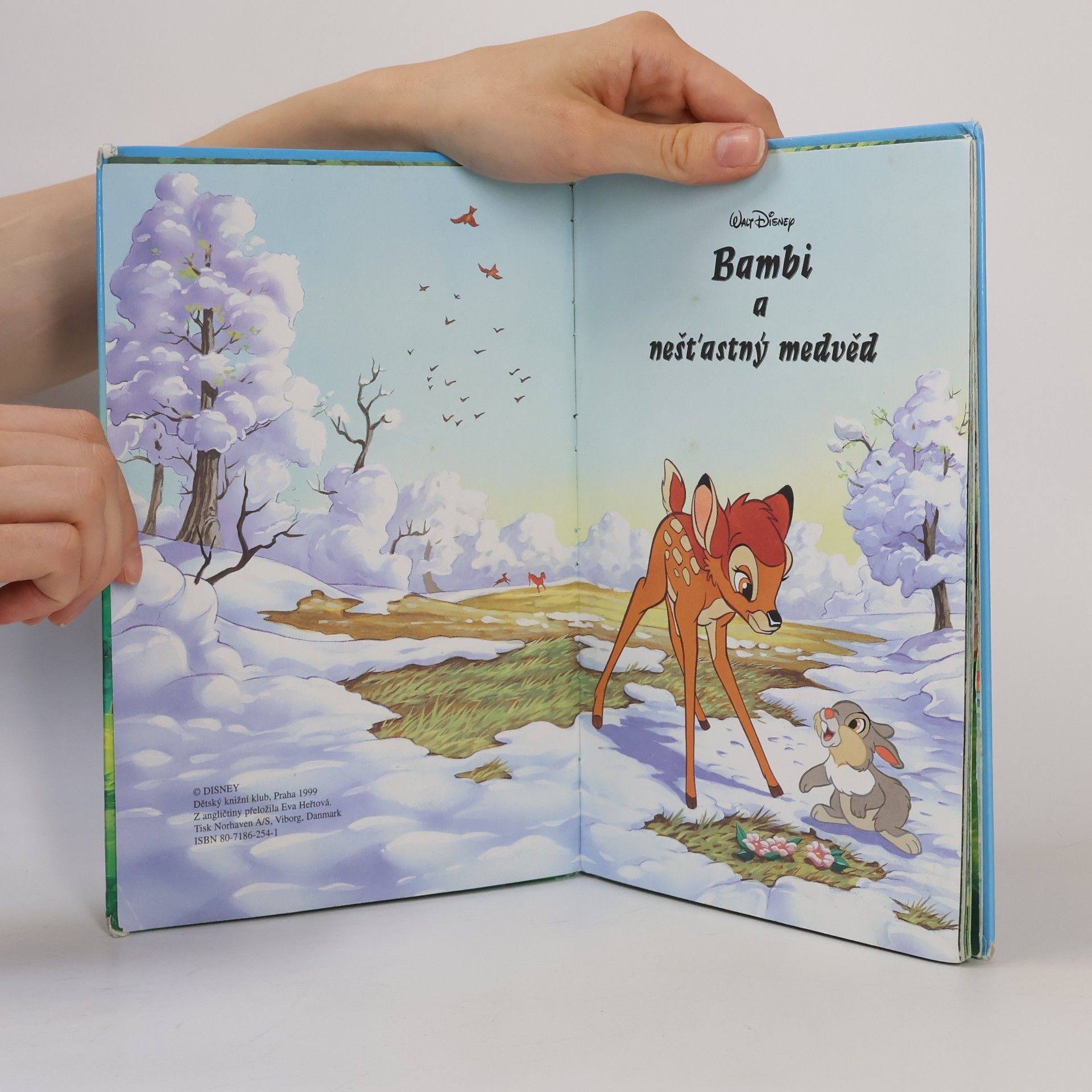 Walt Disney Bambi a nešťastný medvěd