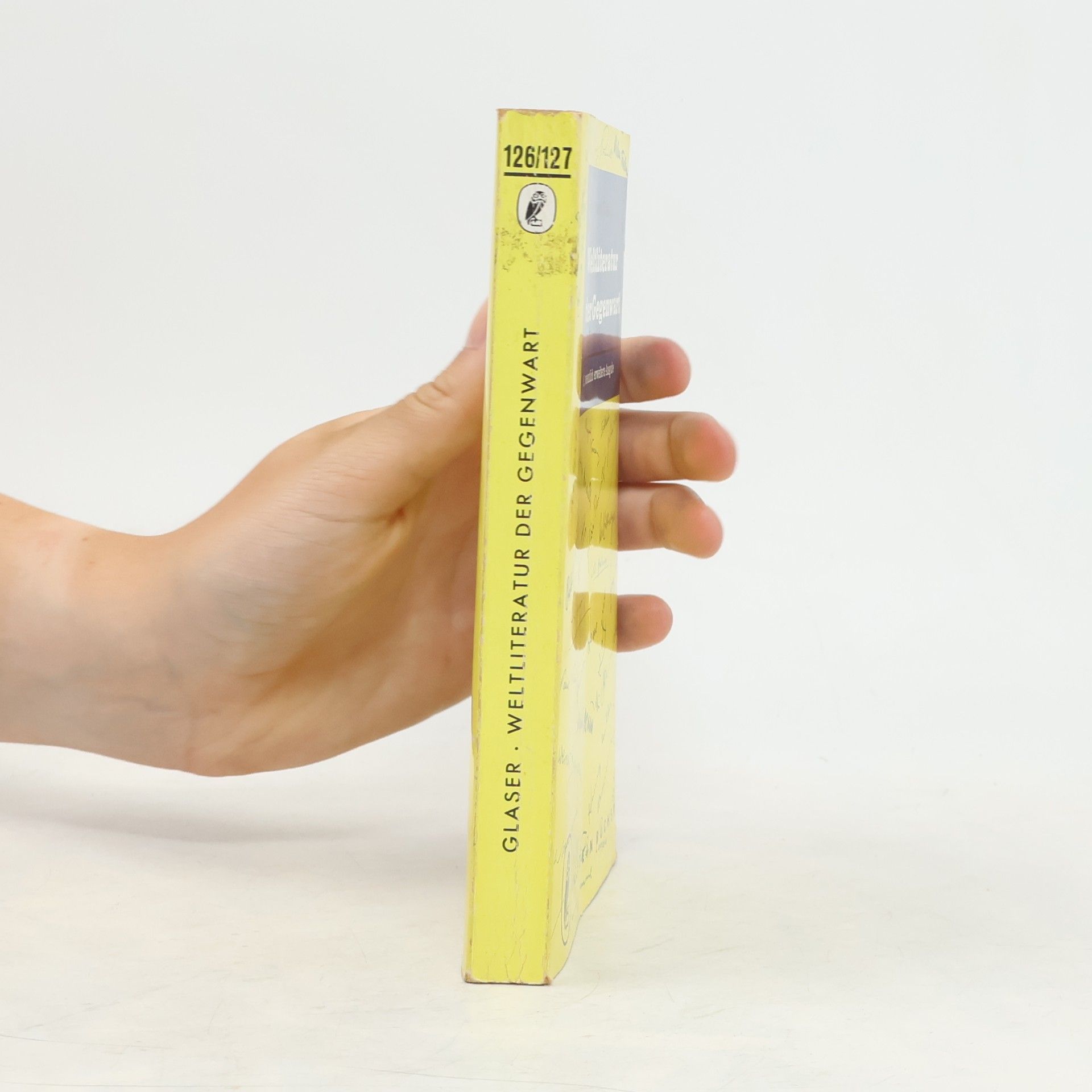 Hermann Glaser Kleine Geschichte der modernen Weltliteratur