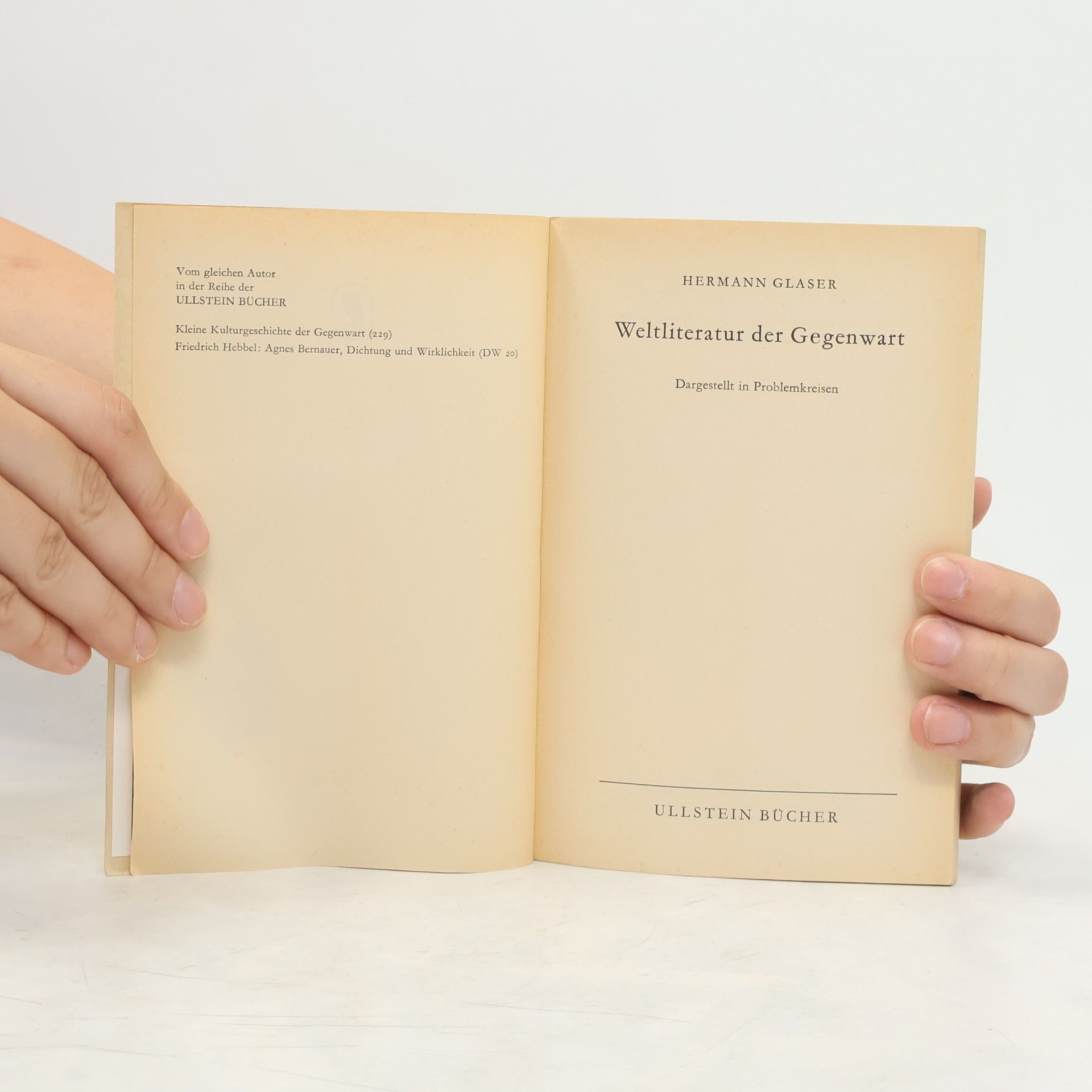 Hermann Glaser Kleine Geschichte der modernen Weltliteratur