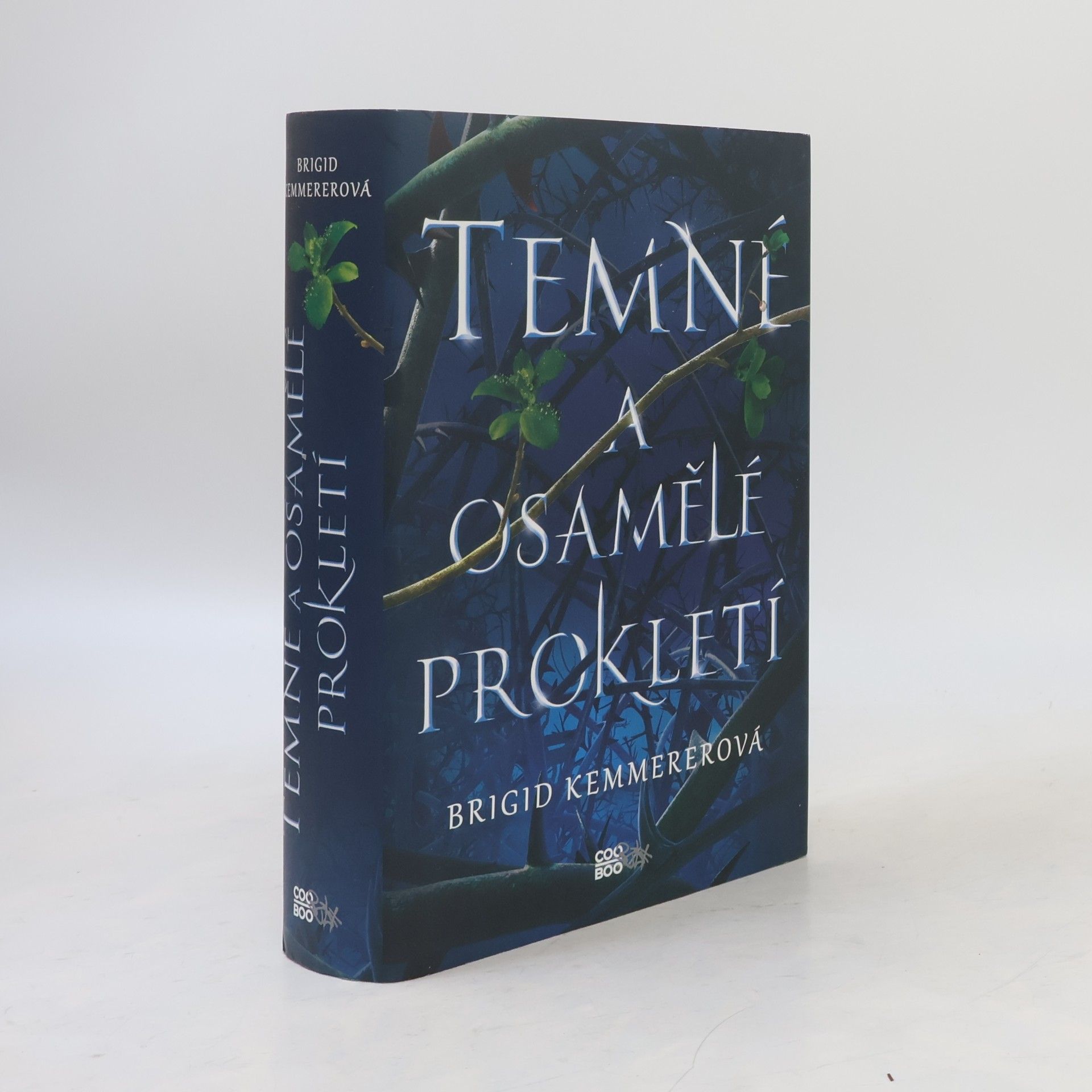 Brigid Kemmerer Temné a osamělé prokletí