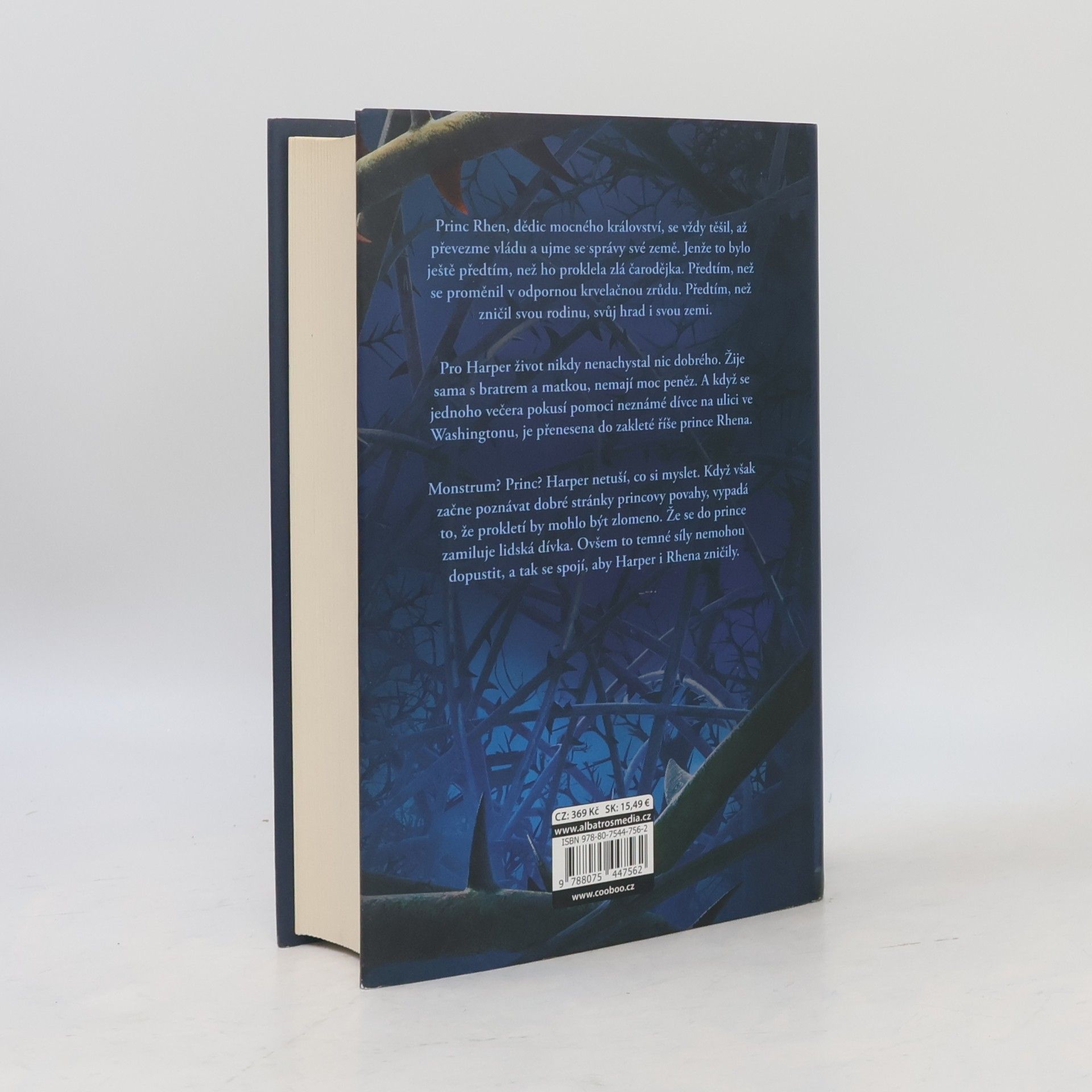 Brigid Kemmerer Temné a osamělé prokletí