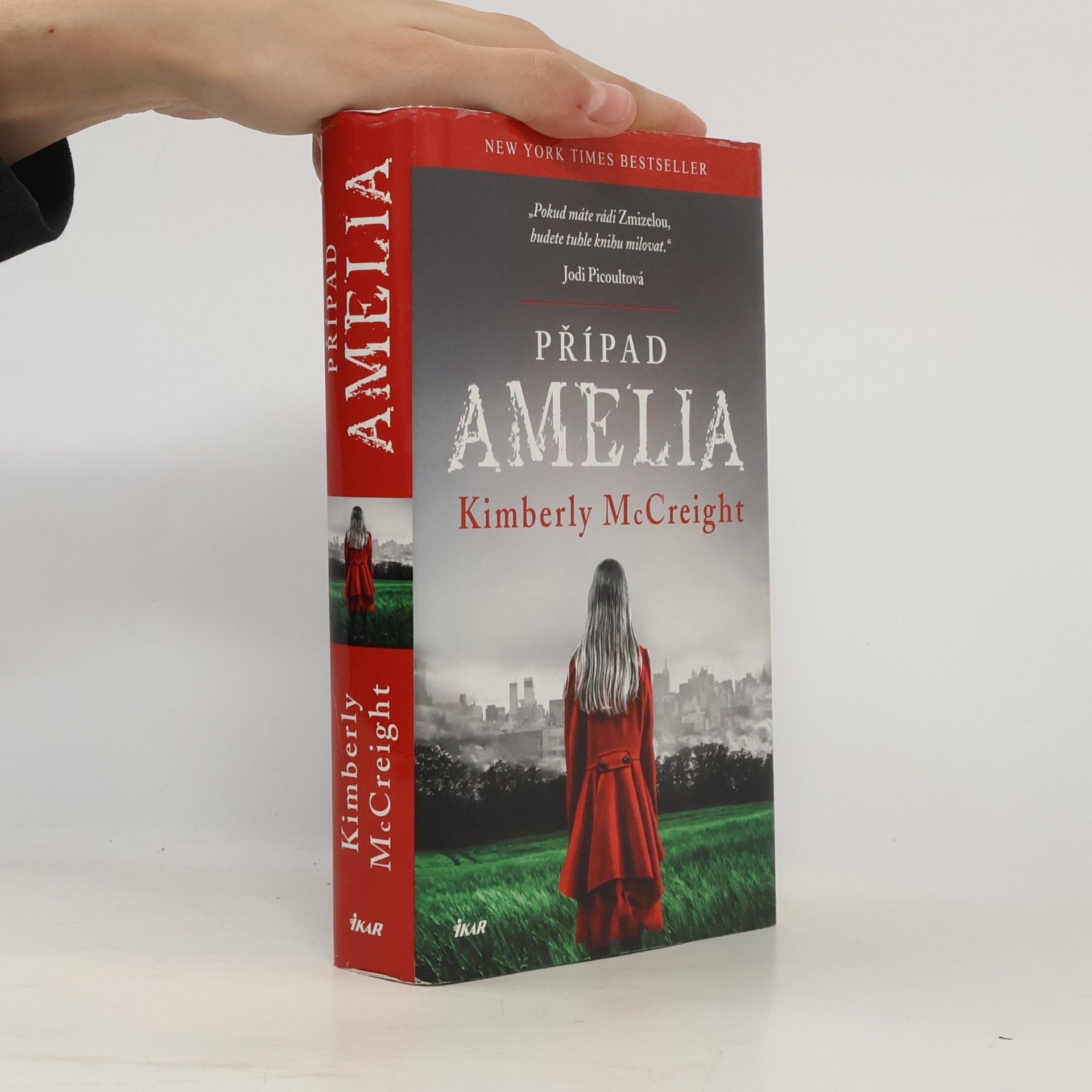 Kimberly McCreight Případ Amelia