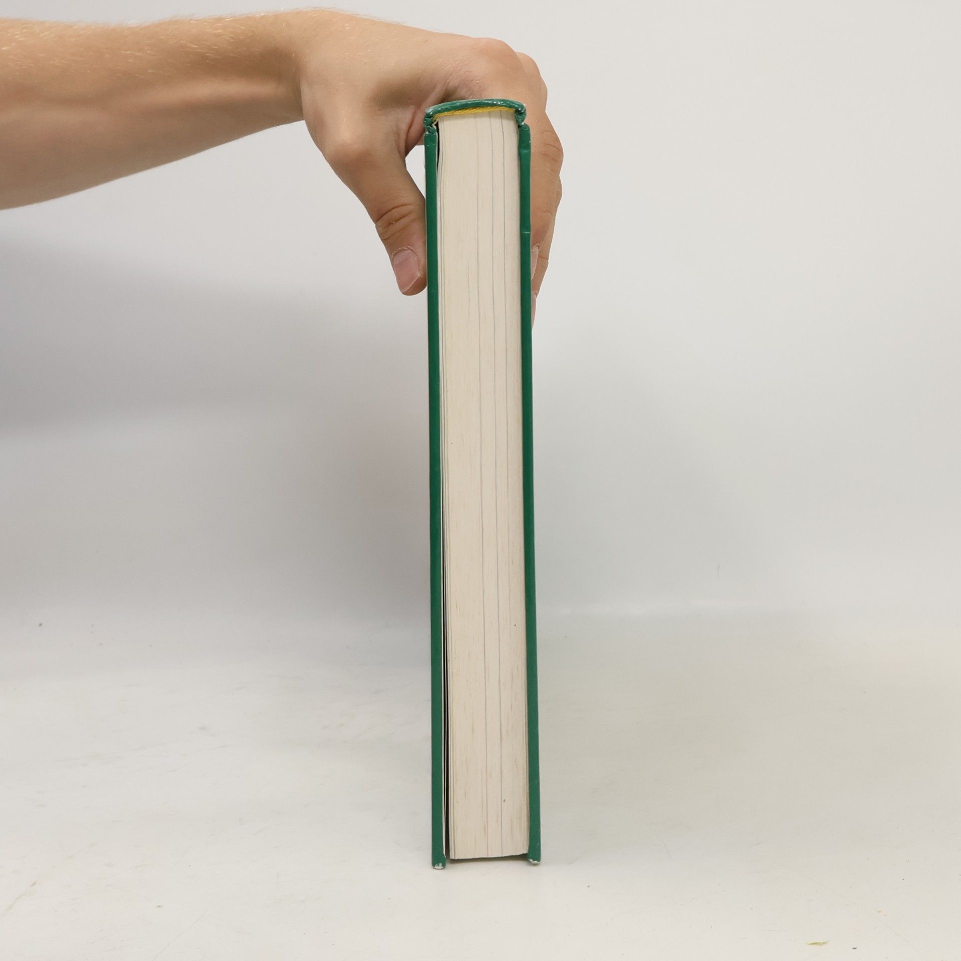 Margaret Minker Das große Buch der Naturheilweisen