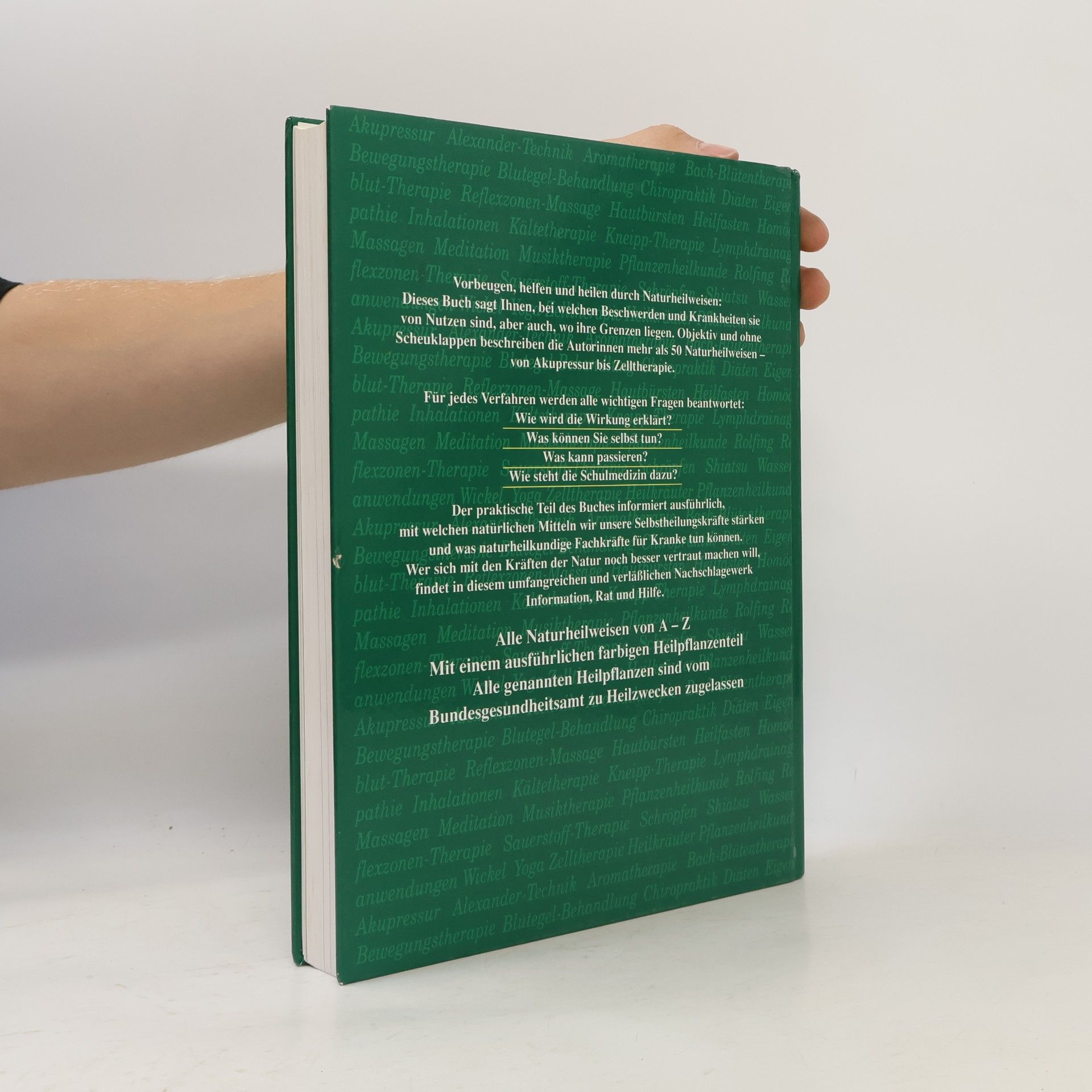 Margaret Minker Das große Buch der Naturheilweisen