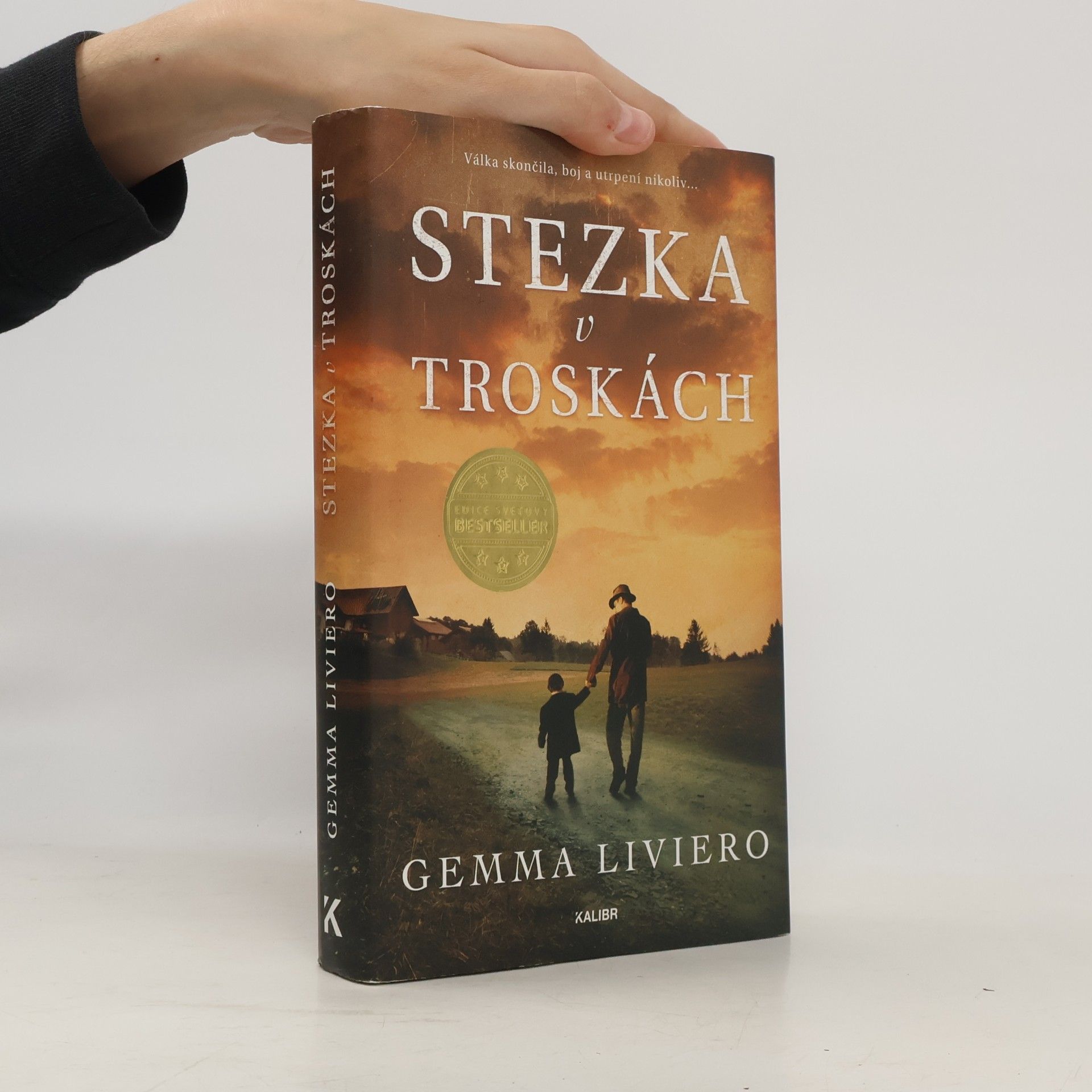 Stezka v troskách