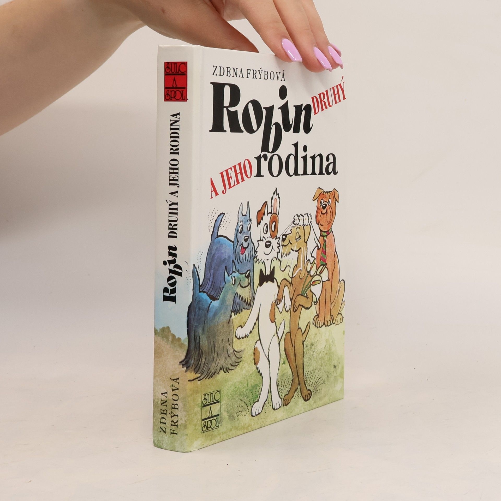 Zdena Frýbová Robin Druhý a jeho rodina