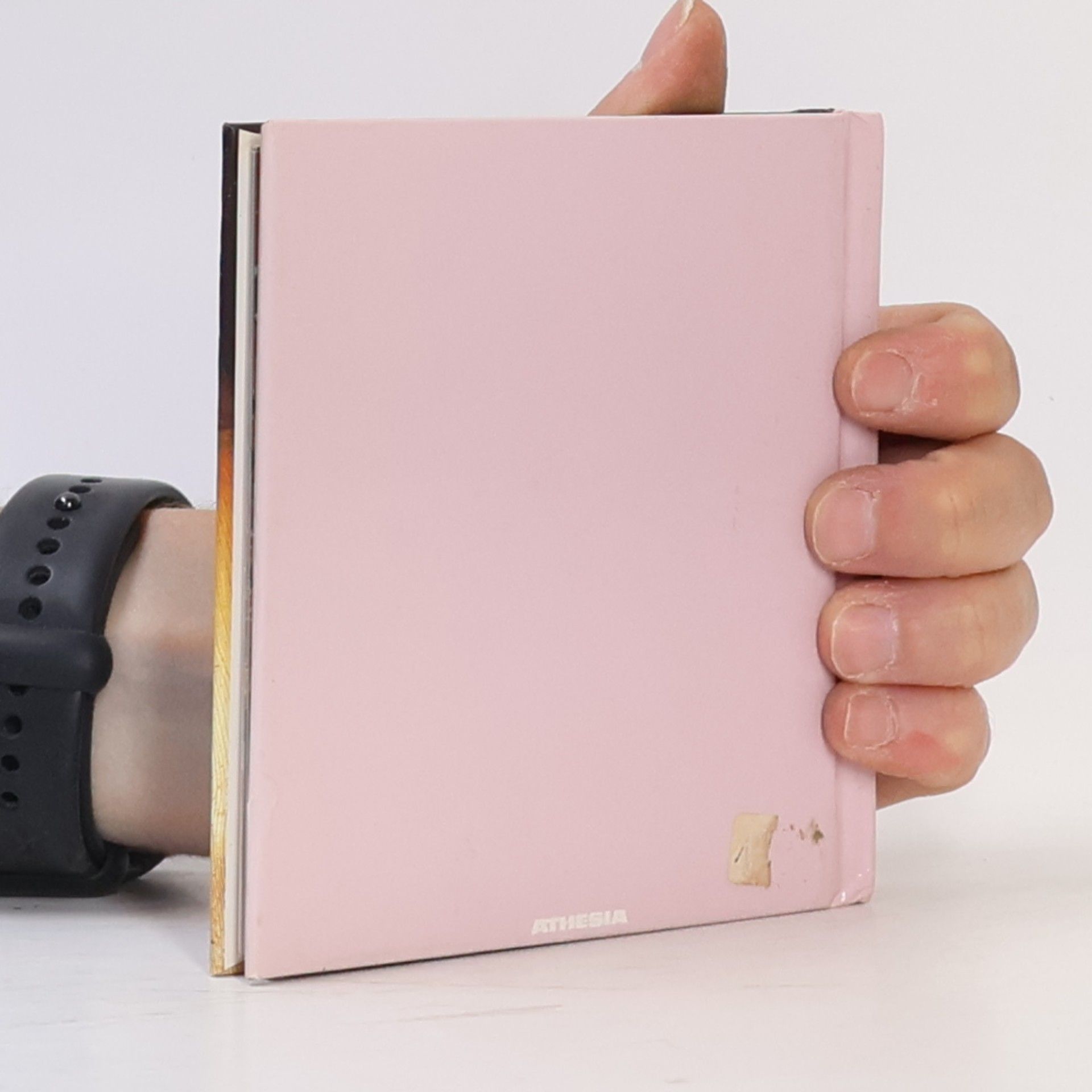 Anneliese Kompatscher Südtiroler Backbuch