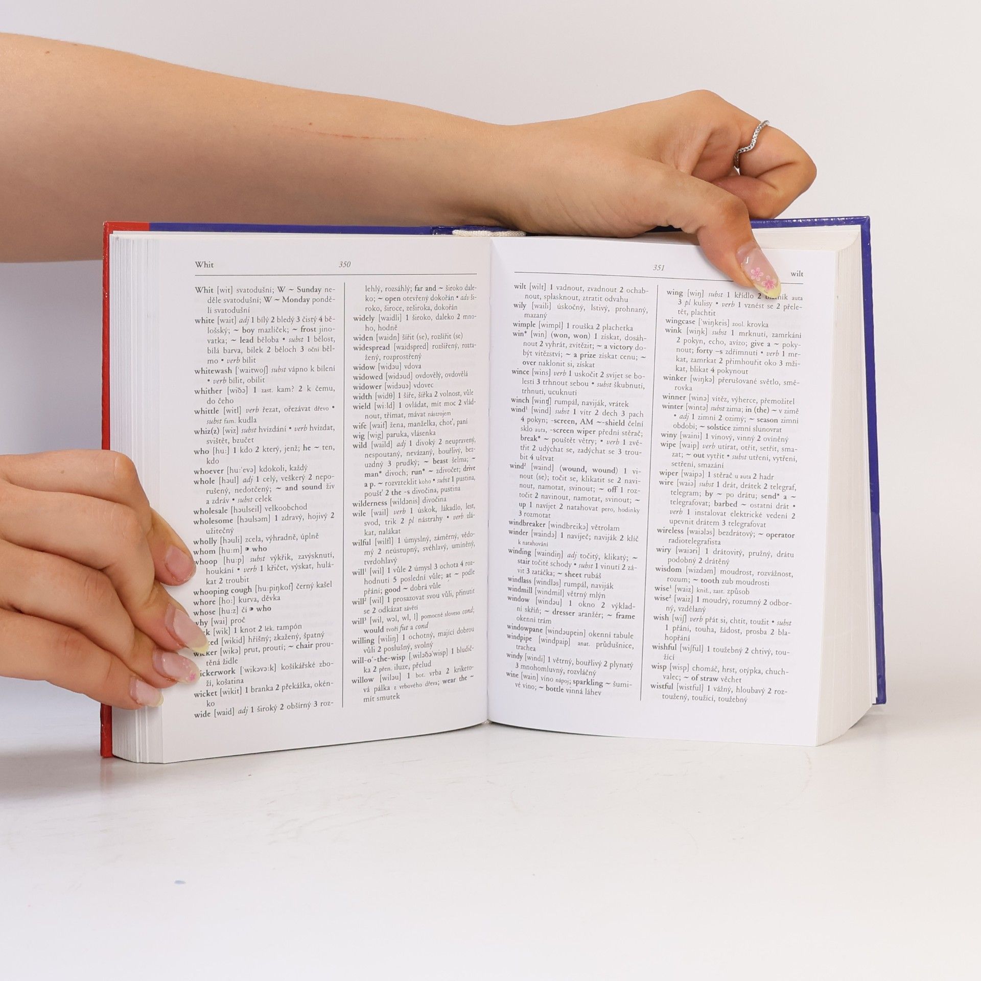 Autorenkollektiv Anglicko-český, česko-anglický slovník