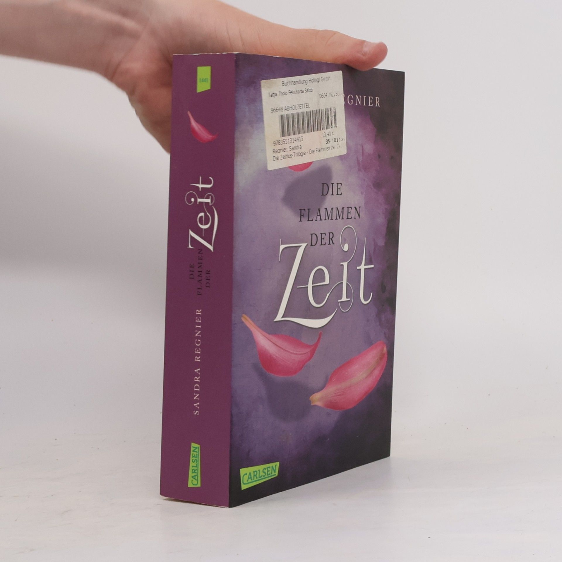 Sandra Regnier Die Flammen der Zeit