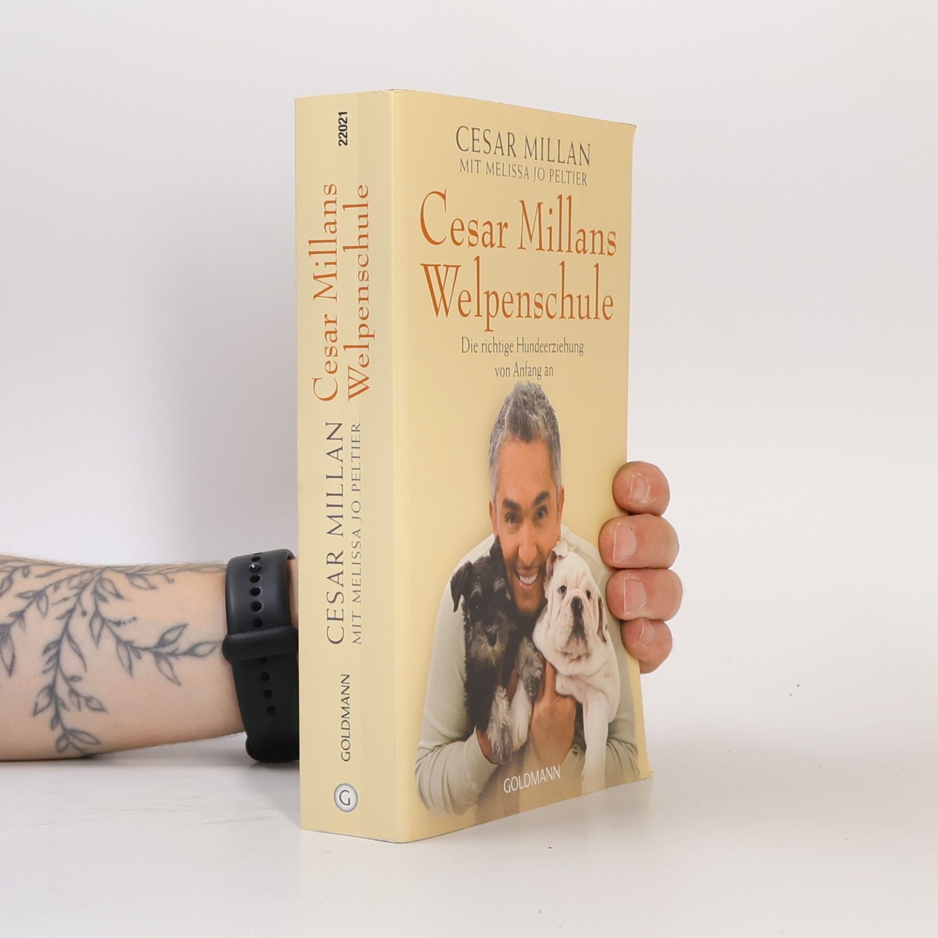 Cesar Millan Cesar Millans Welpenschule