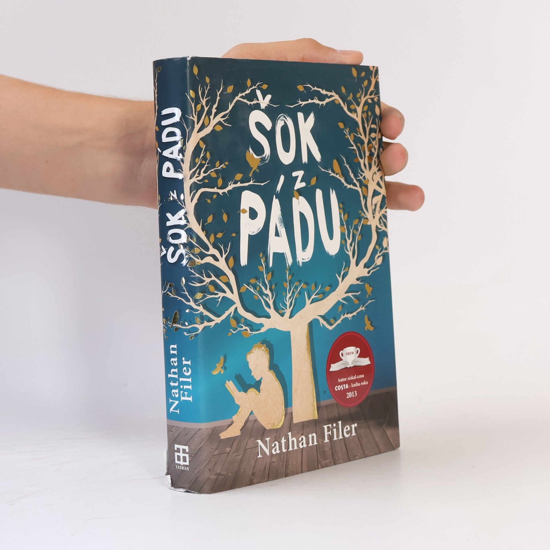 Nathan Filer Šok z pádu