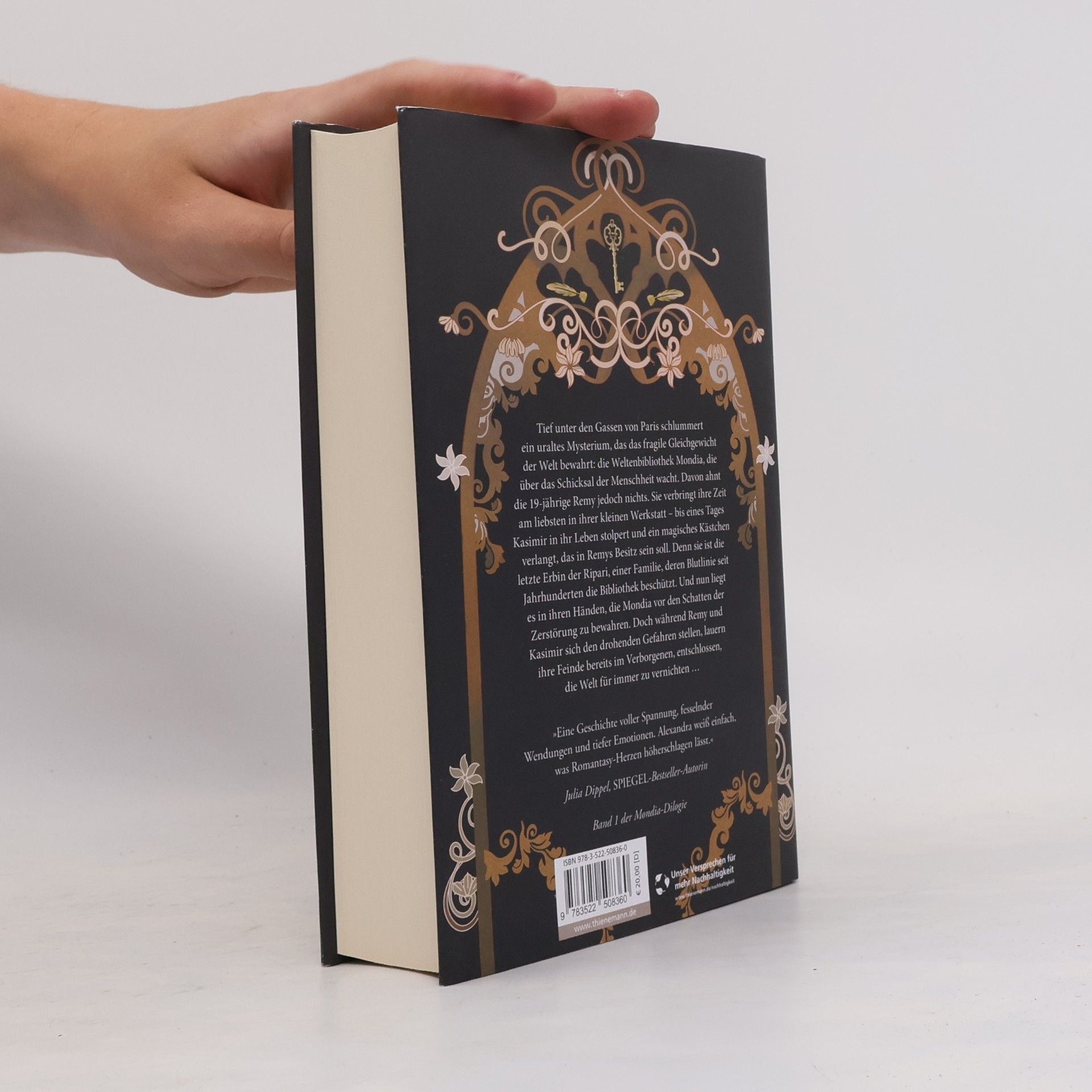 Alexandra Flint Silent Secrets / Mondia-Dilogie Bd.1