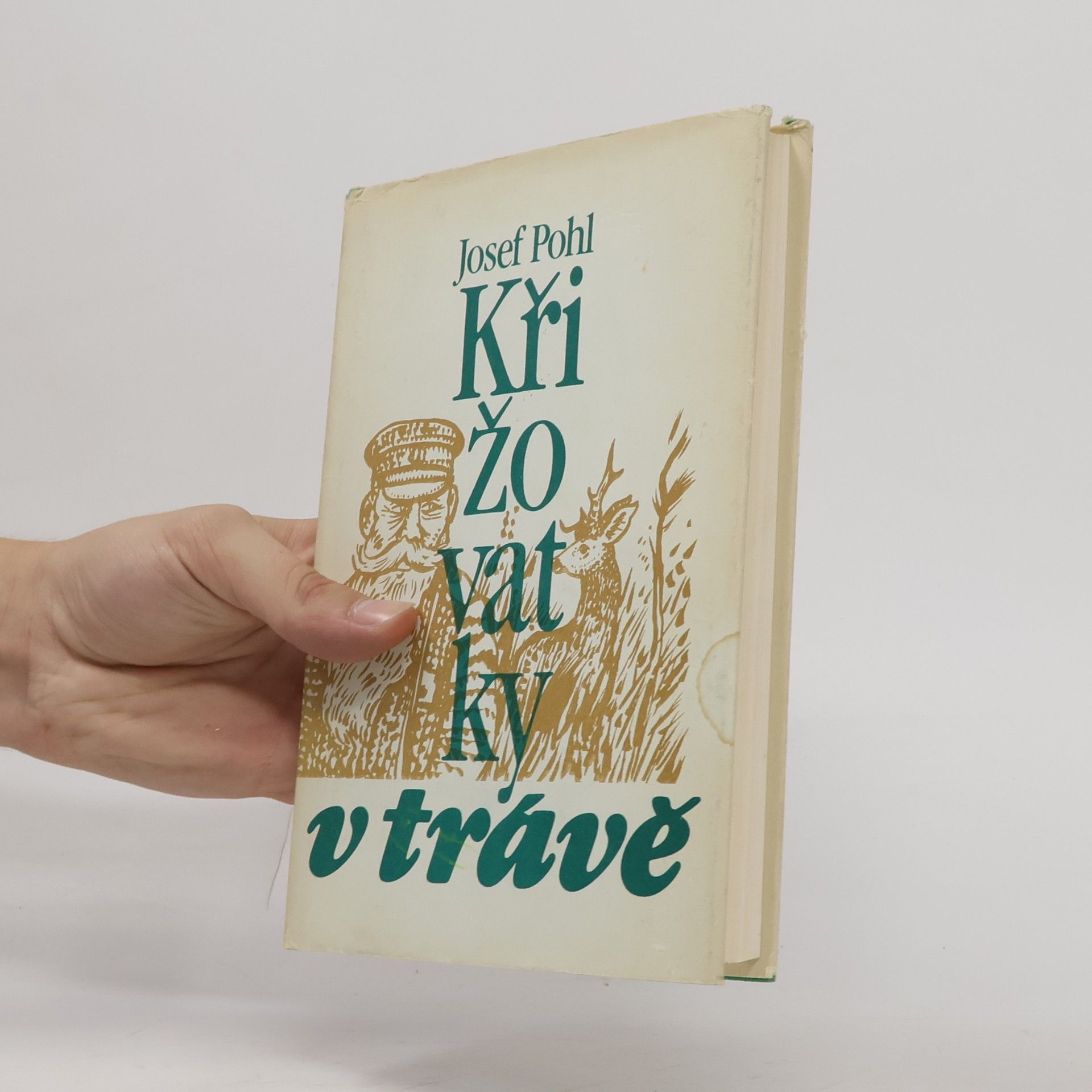 Josef Pohl Křižovatky v trávě