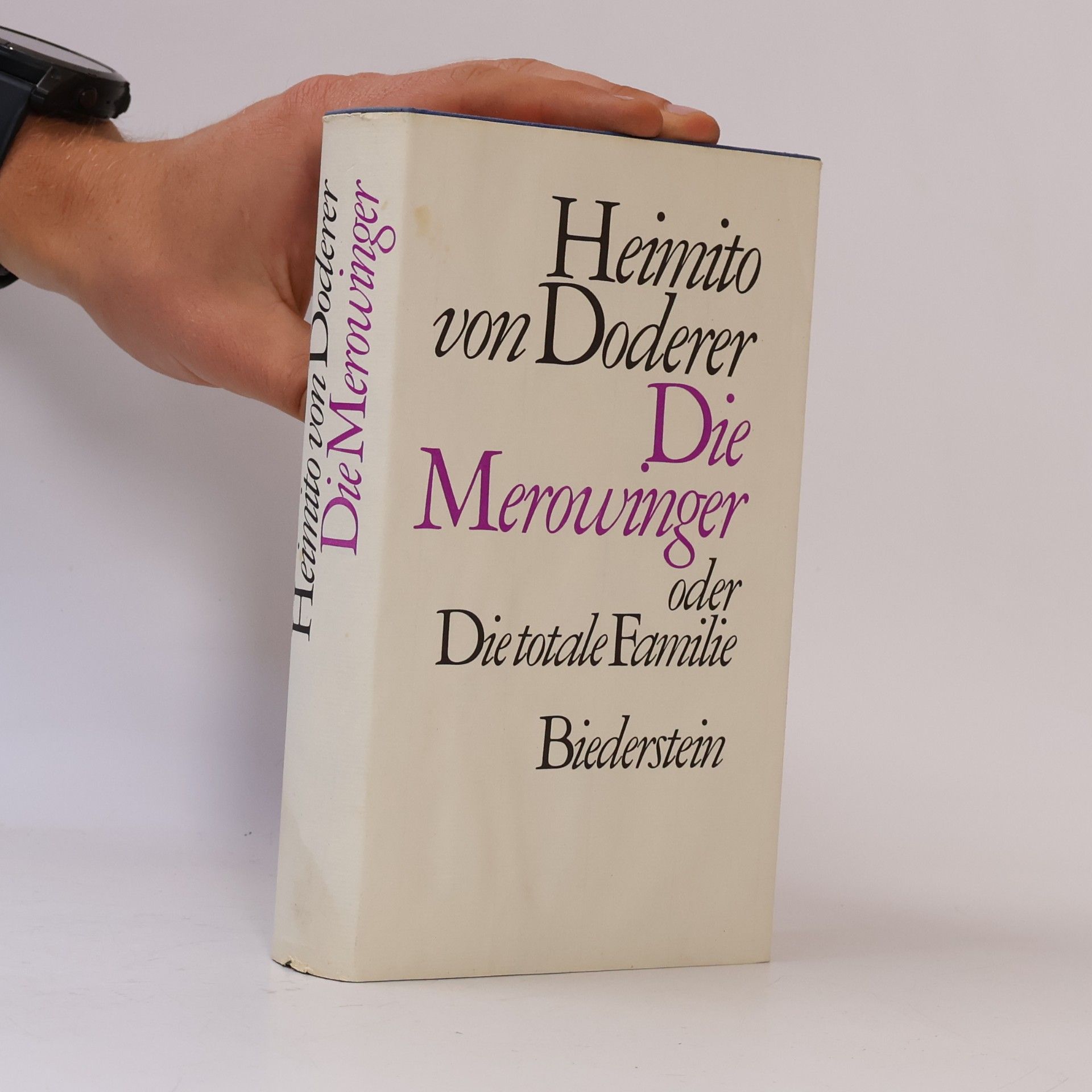 Heimito von Doderer Die Merowinger oder die totale Familie