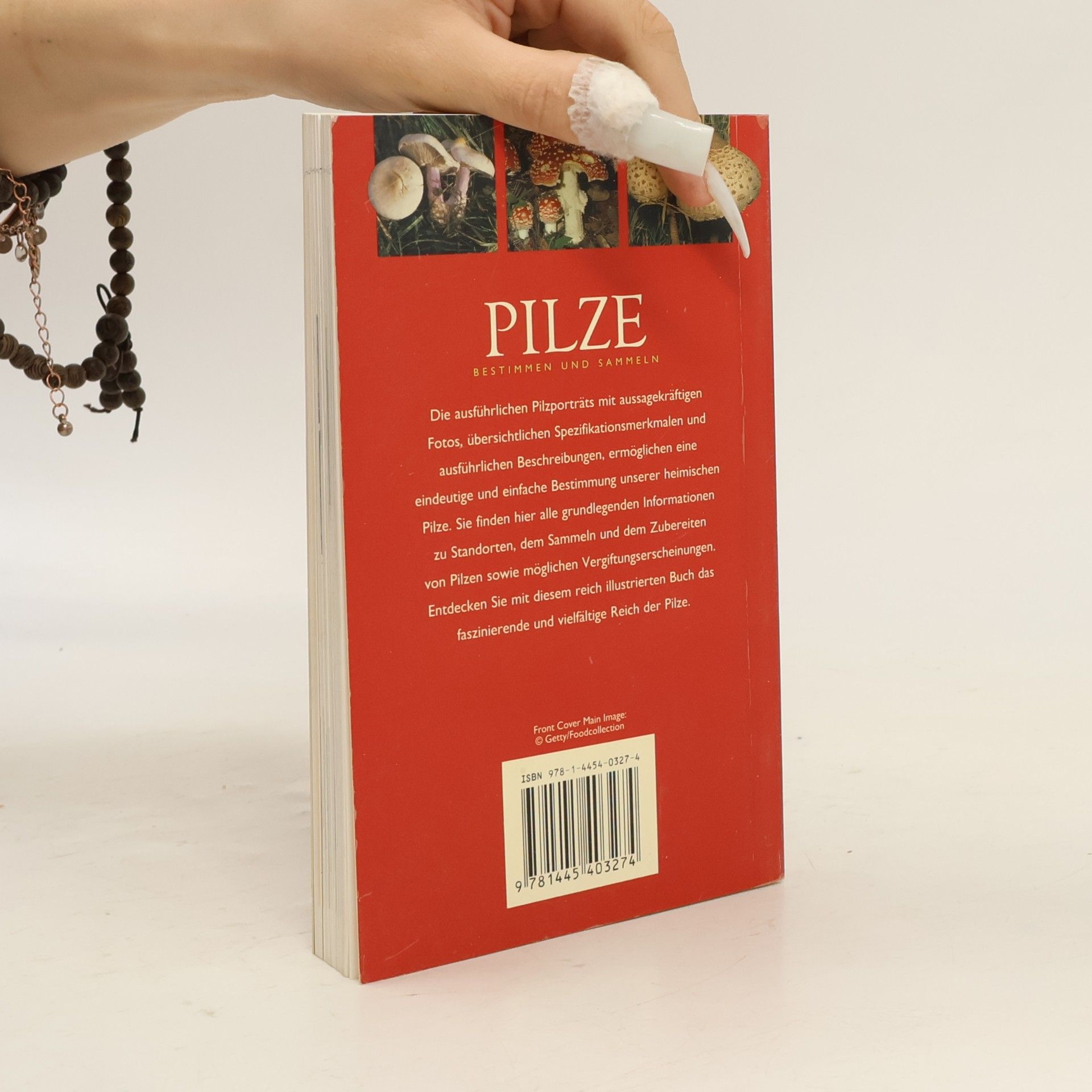 Till R. Lohmeyer Pilze