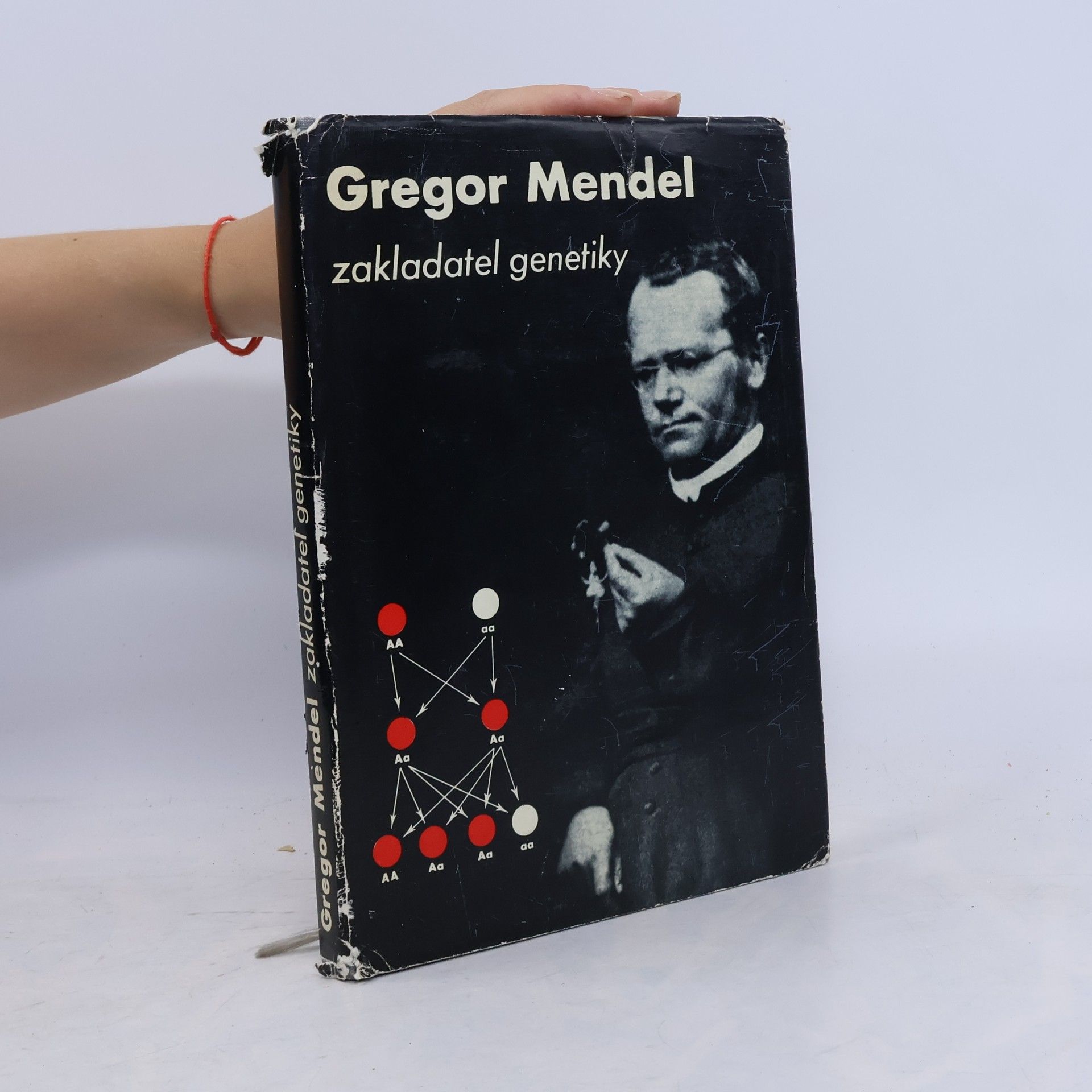 Autorenkollektiv Gregor Mendel, zakladatel genetiky