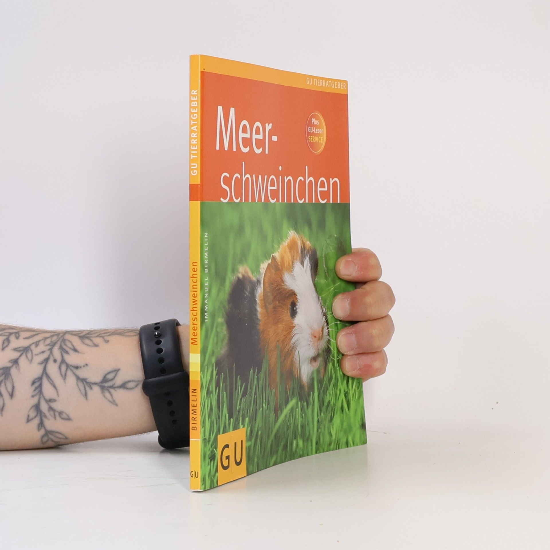 Immanuel Birmelin Meer-schweichen