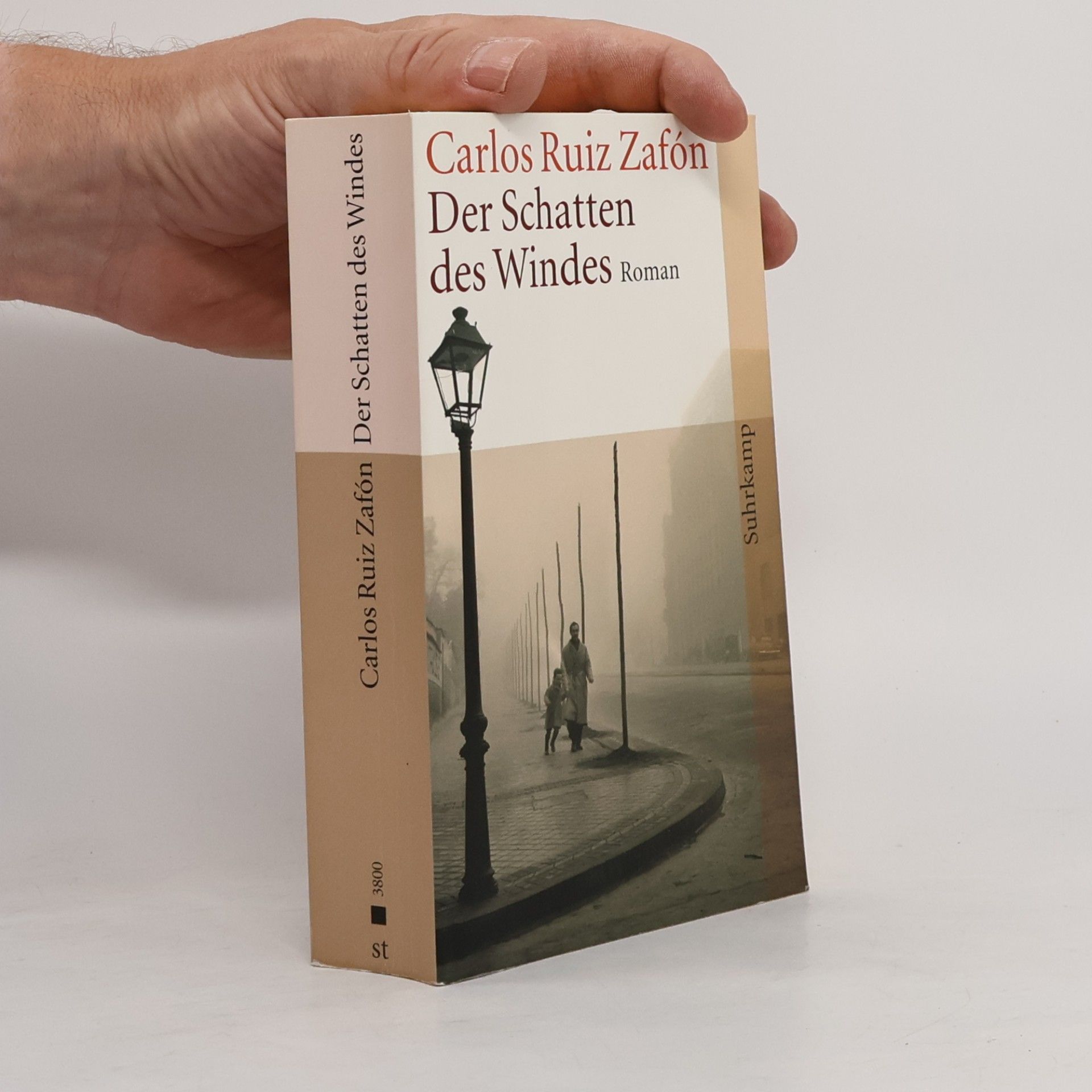 Carlos Ruiz Zafón Der Schatten des Windes