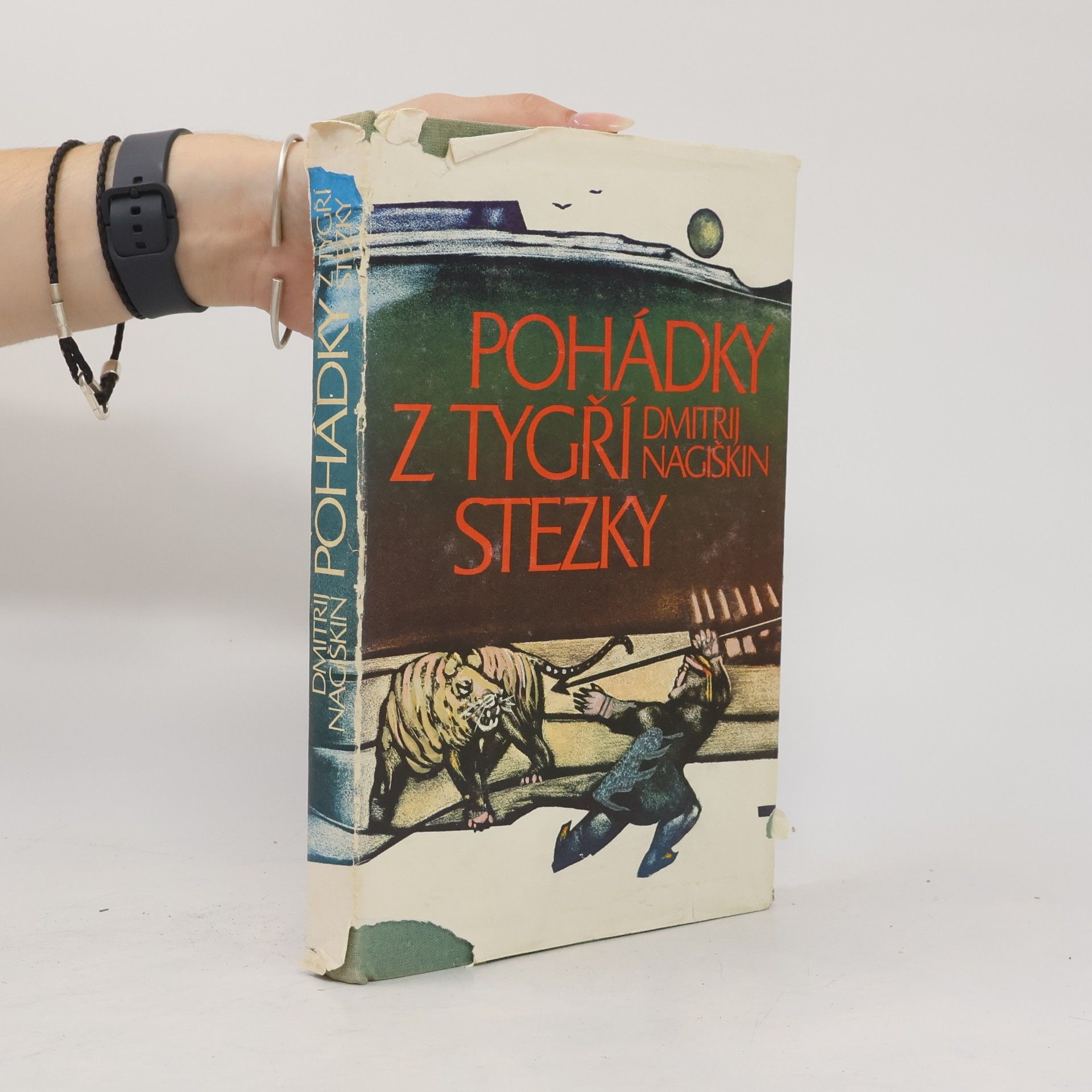 Dmitrij Dmitrijevič Nagiškin Pohádky z tygří stezky
