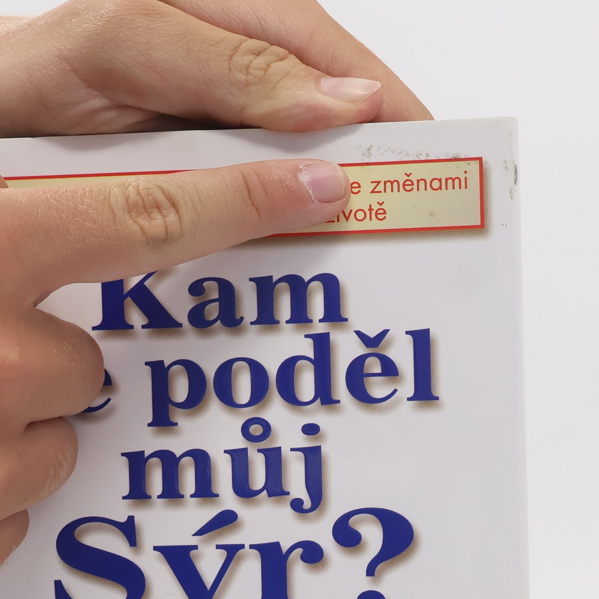 Spencer Johnson Kam se poděl můj sýr?