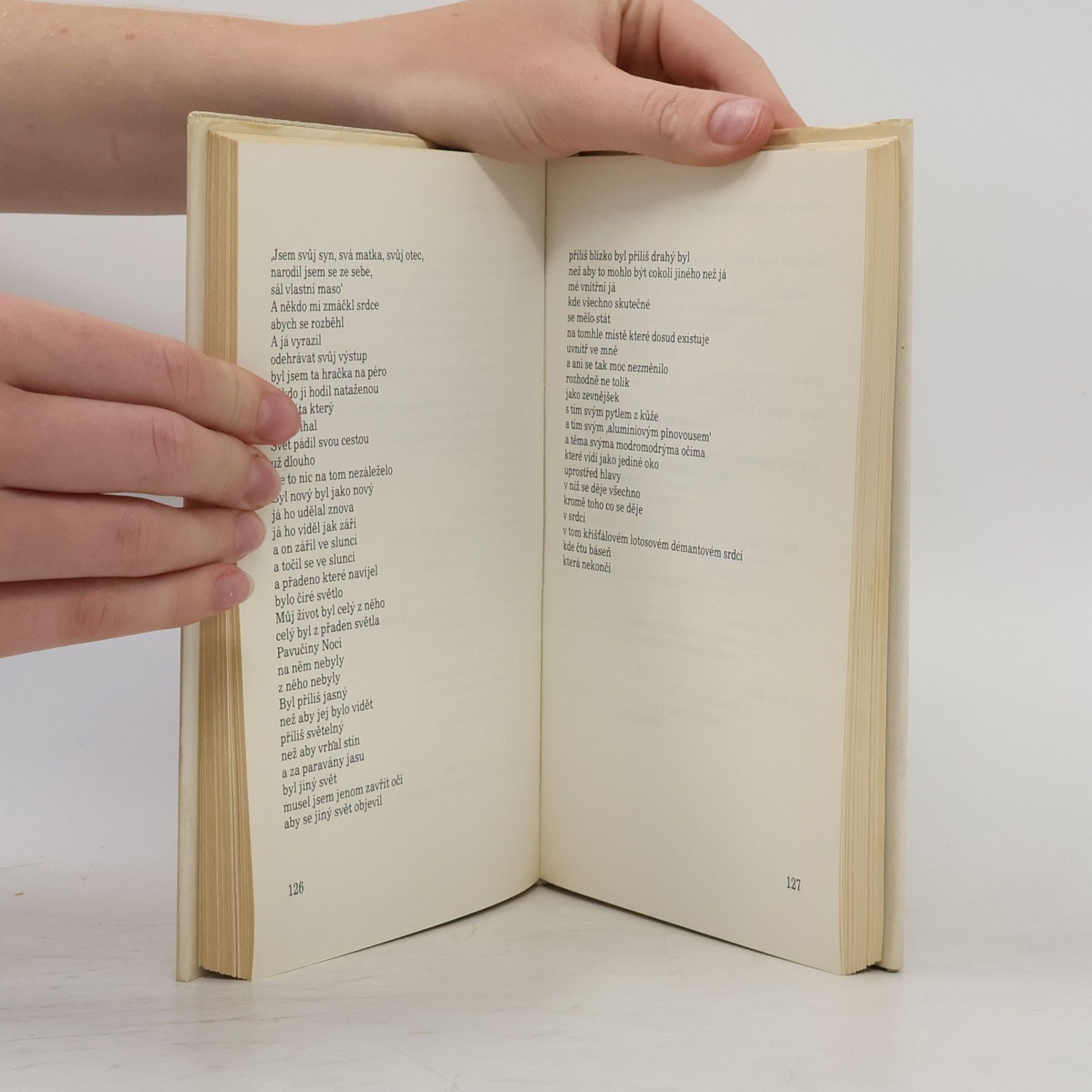 Lawrence Ferlinghetti Čtu báseň která nekončí