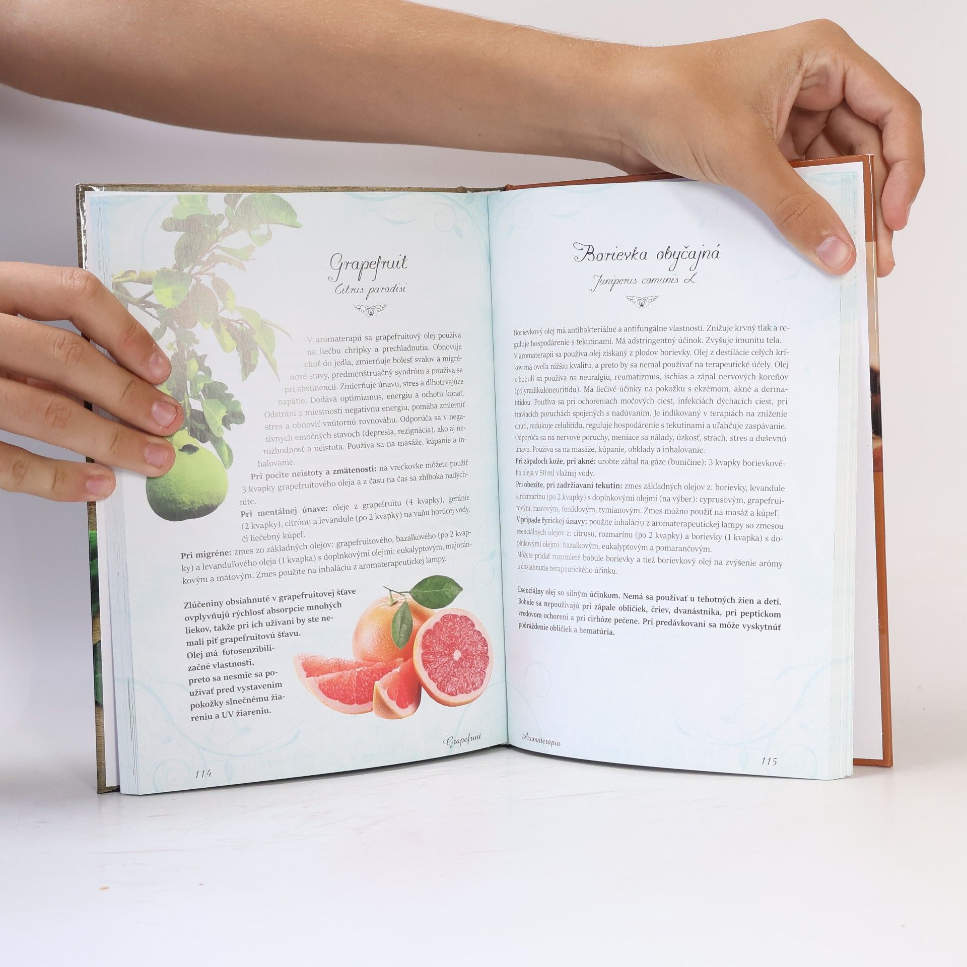 Sandra Fašangová Atlas prírodnej medicíny: bylinná medicína, apiterapia, reflexológia, aromaterapia, liečba dýchaním