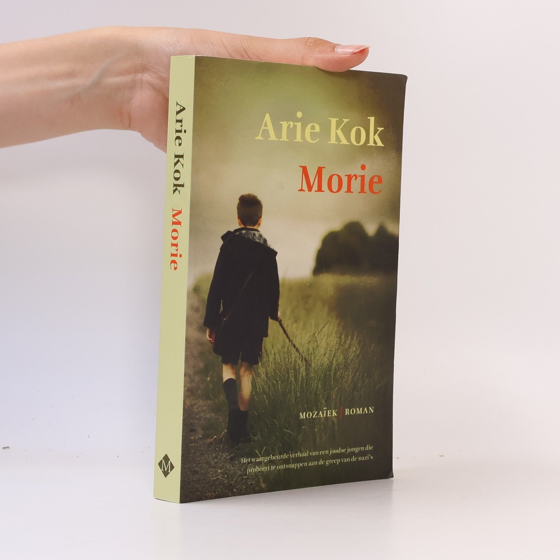 Arie Kok Morie