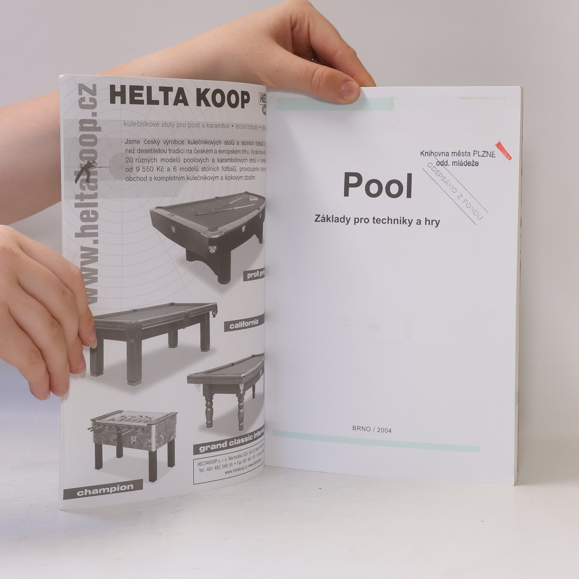 Miloš Vizingr Pool - základy pro techniky a hry