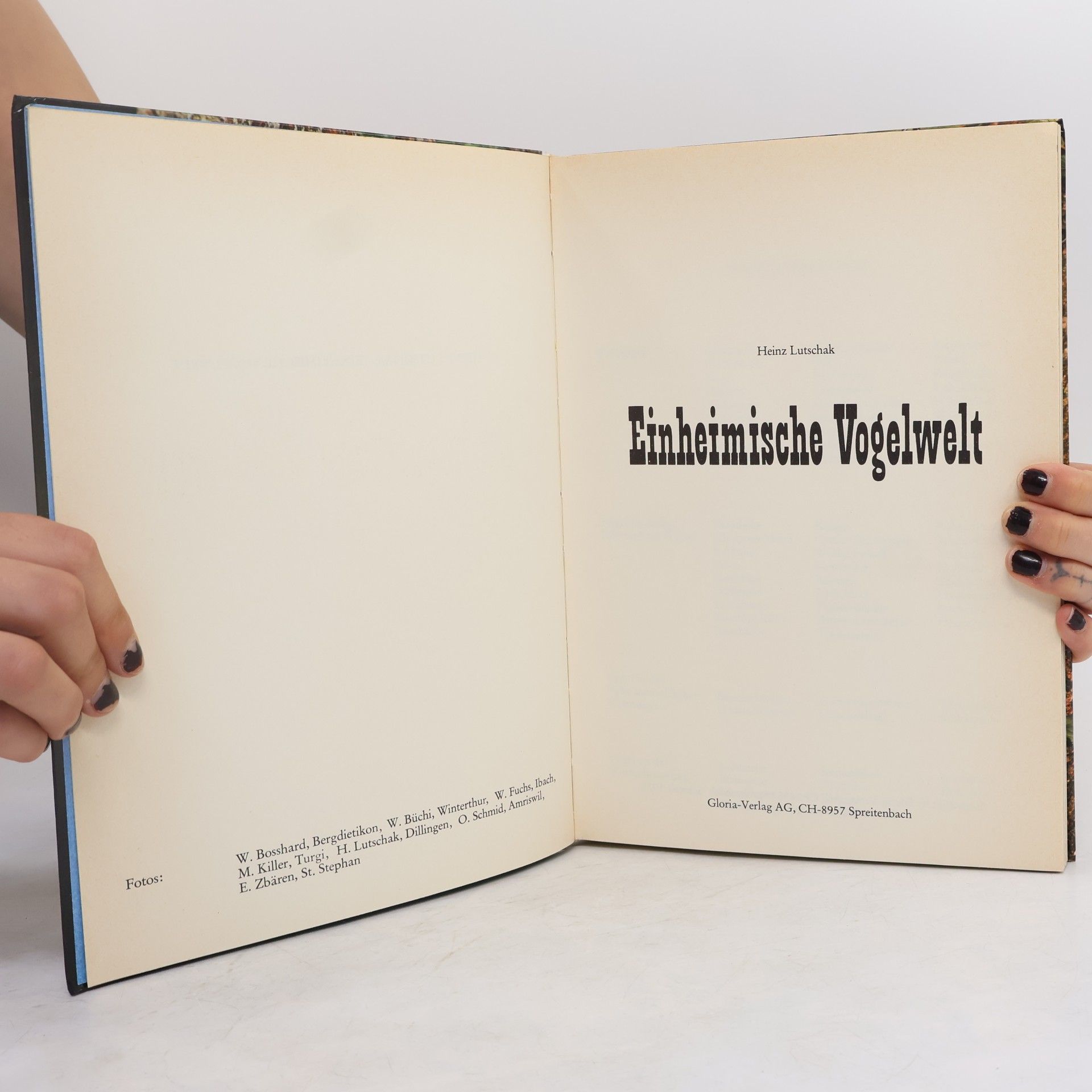 Autorenkollektiv Einheimische Vogelwelt