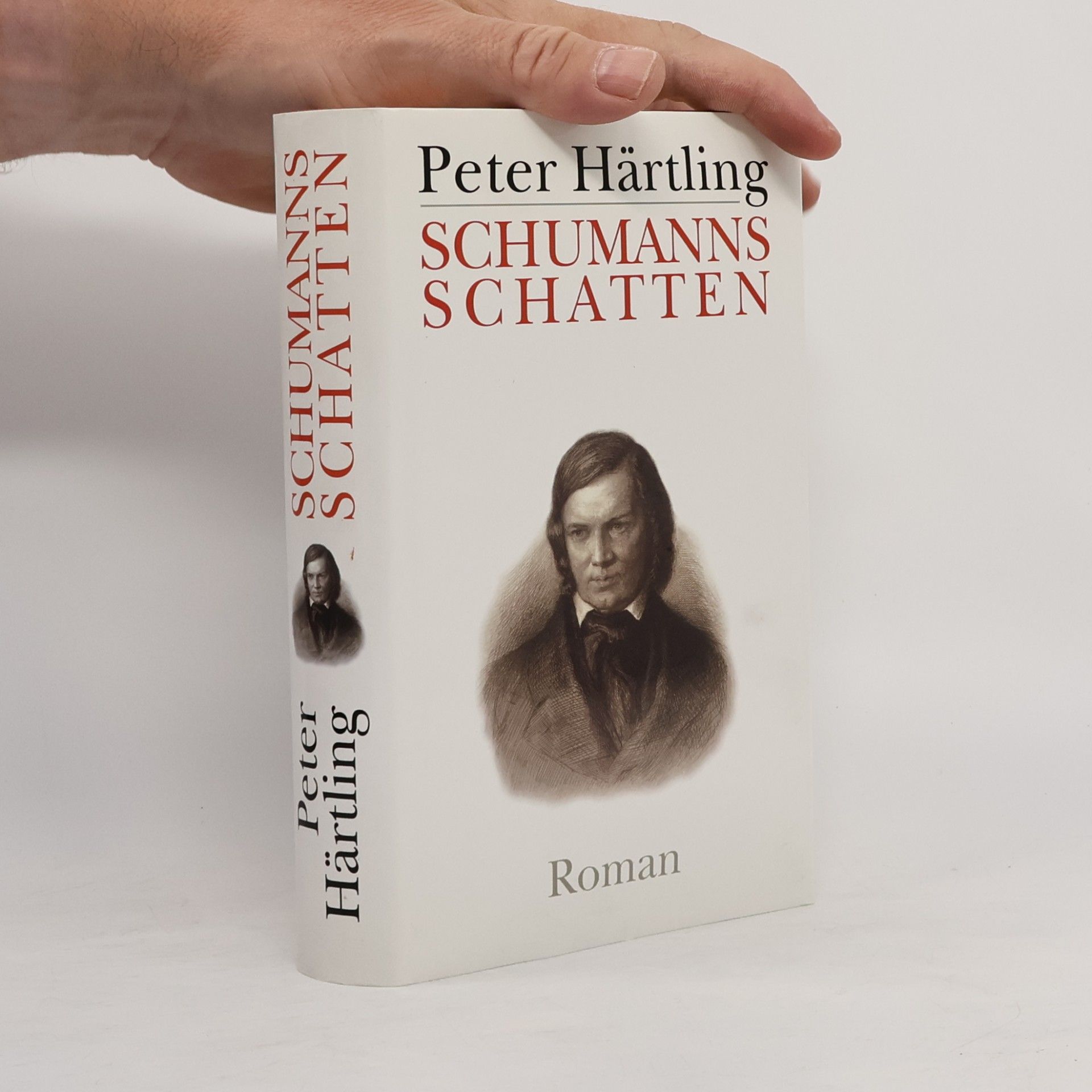 Peter Härtling Schumanns Schatten