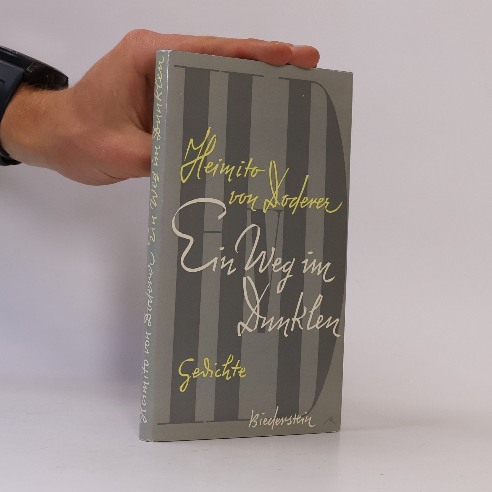Ein Weg im Dunklen : Gedichte und epigrammatische Verse