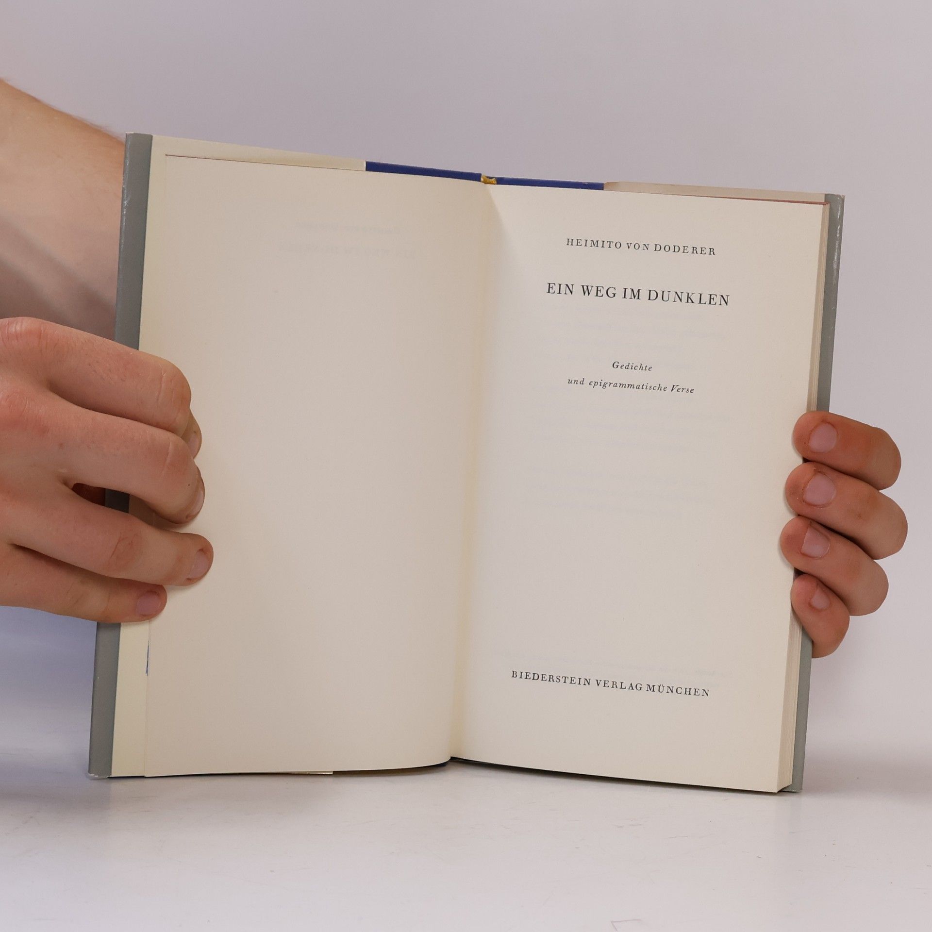 Heimito von Doderer Ein Weg im Dunklen : Gedichte und epigrammatische Verse
