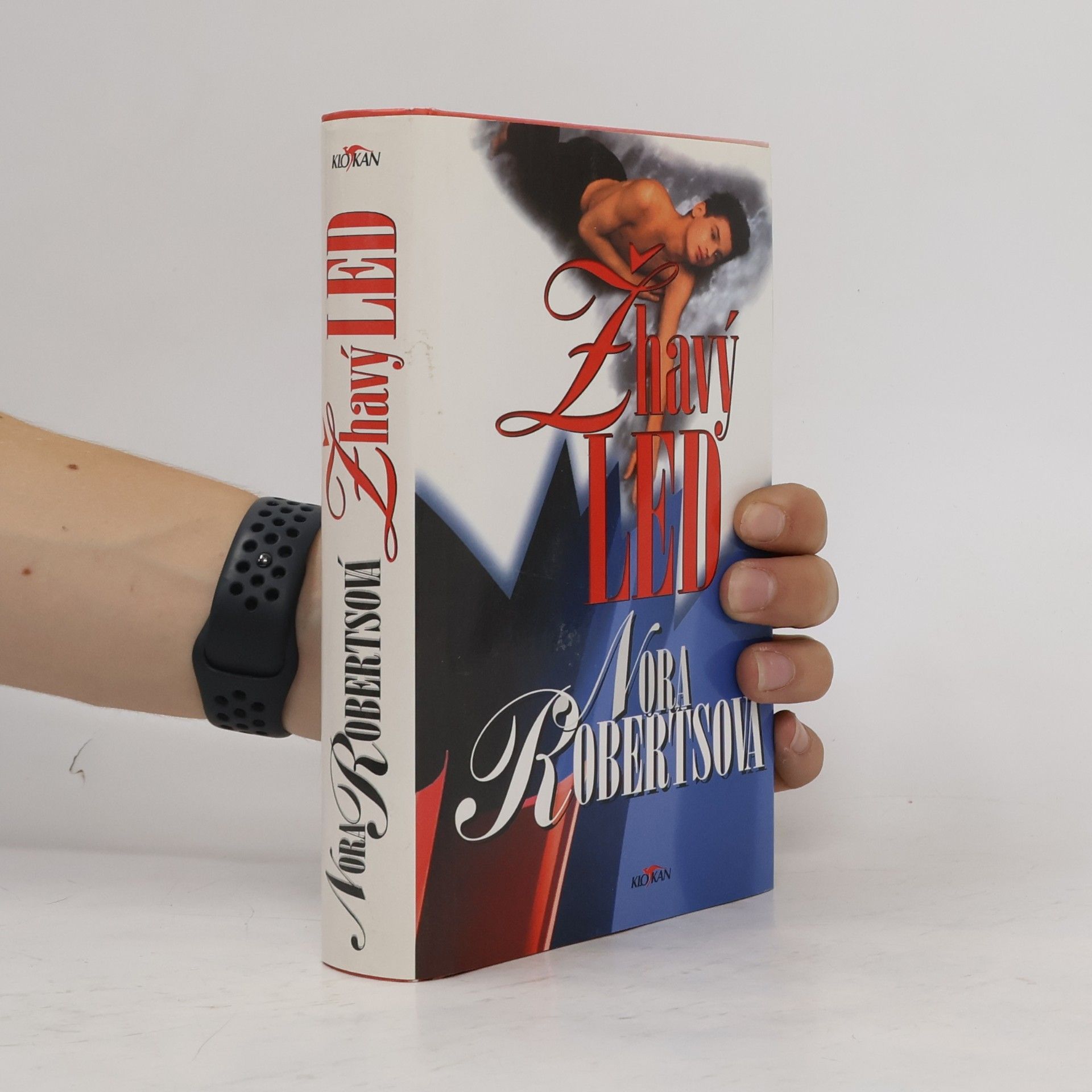 Nora Roberts Žhavý led