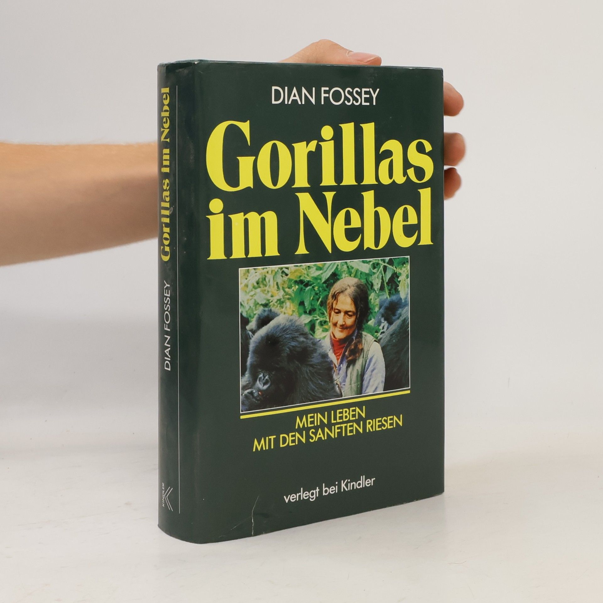 Dian Fossey Gorillas im Nebel