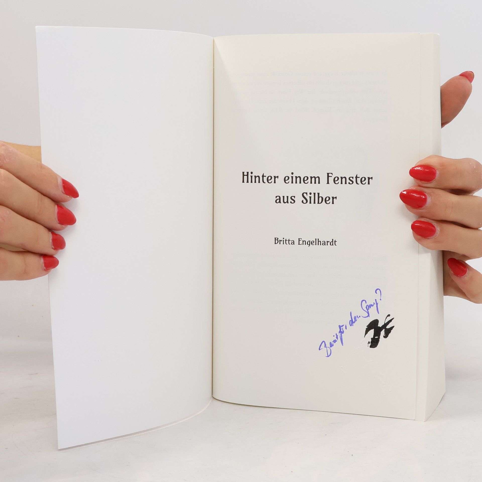 Britta Engelhardt Kunstsprung - 2: Hinter einem Fenster aus Silber