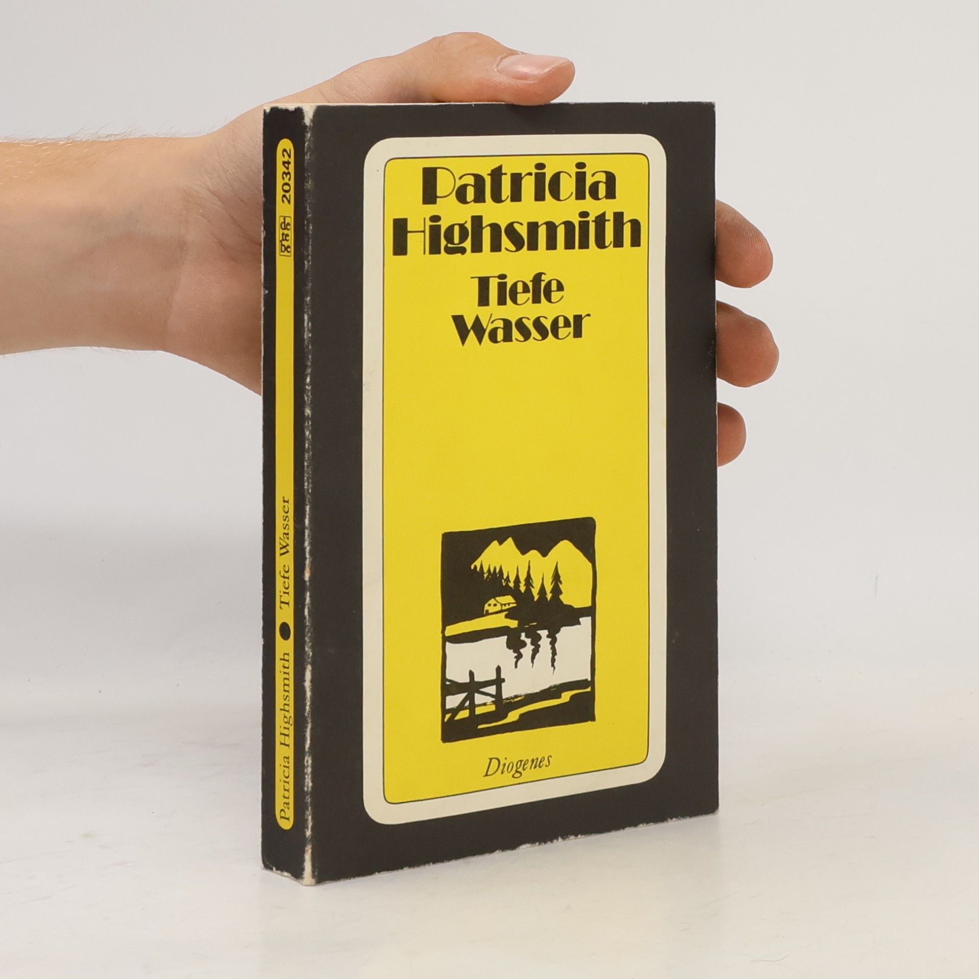 Patricia Highsmith Tiefe Wasser