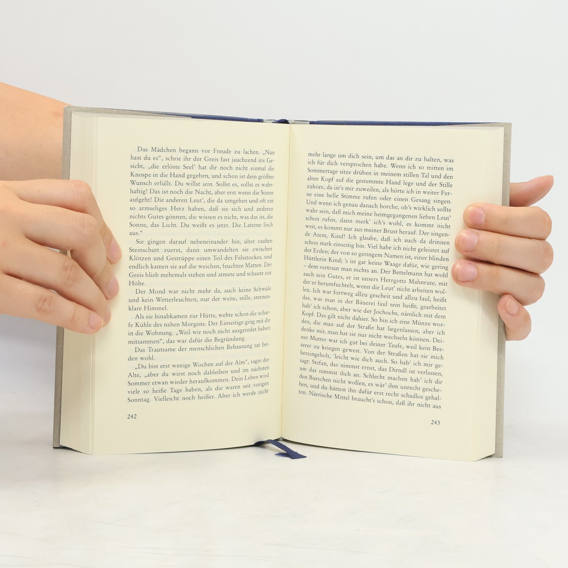 Peter Rosegger Das Buch der Novellen 2