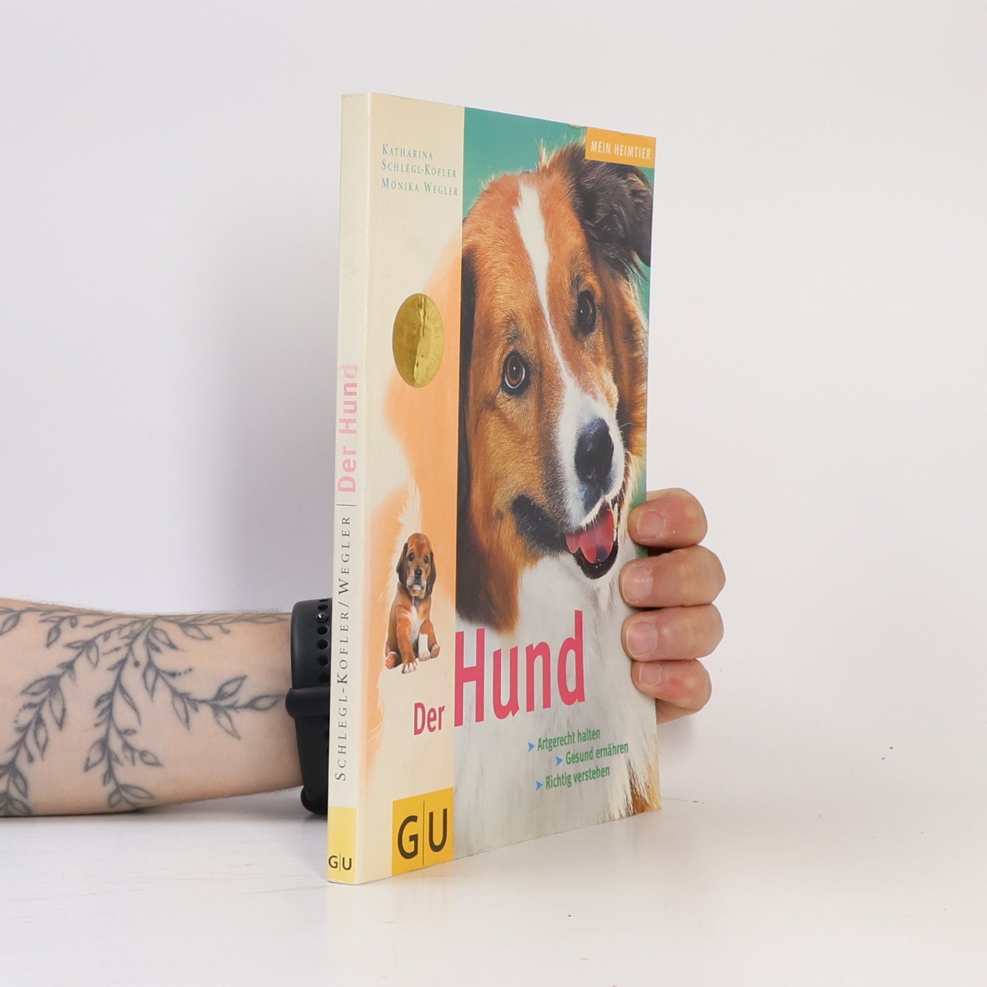 Katharina Schleg Kofler Der Hund