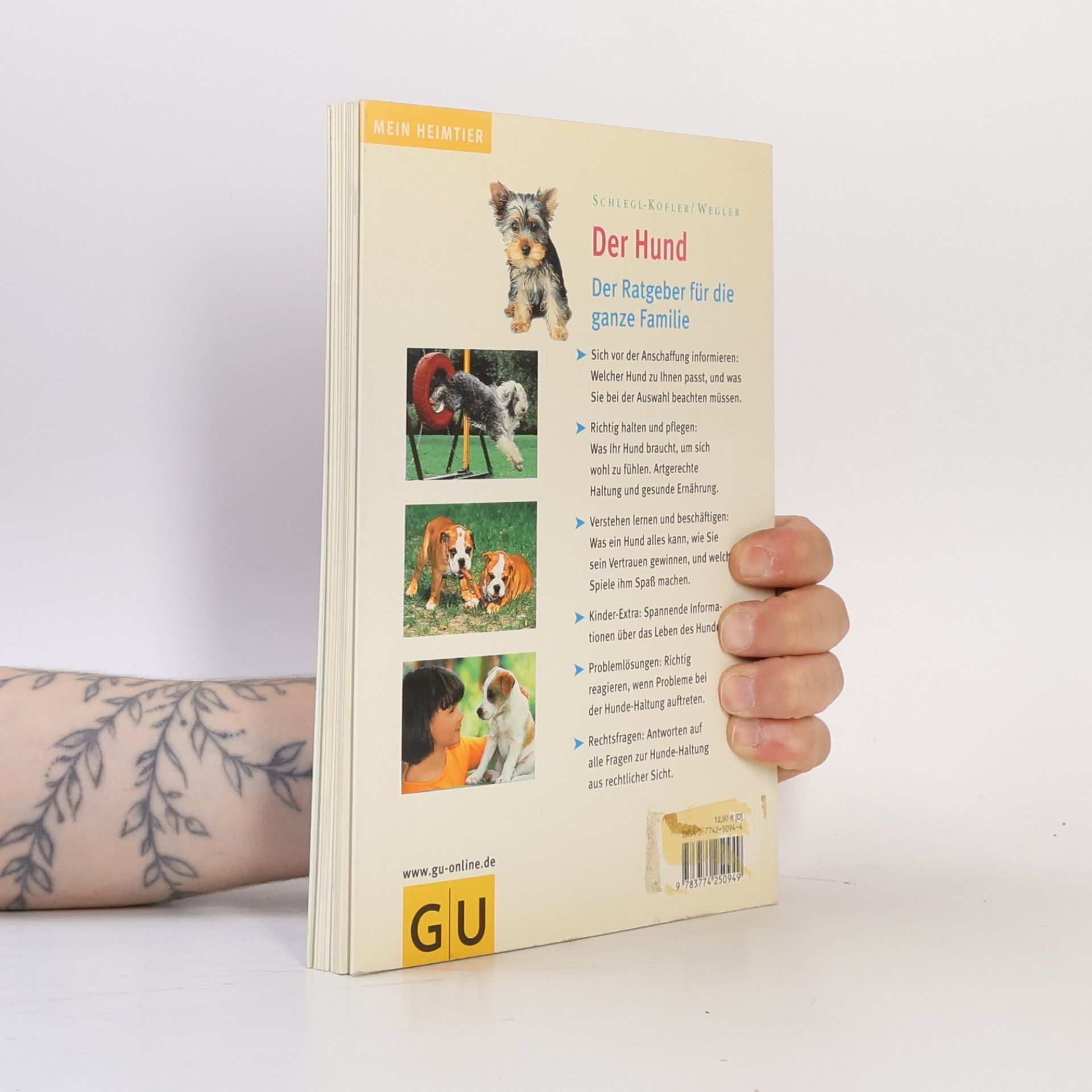 Katharina Schleg Kofler Der Hund