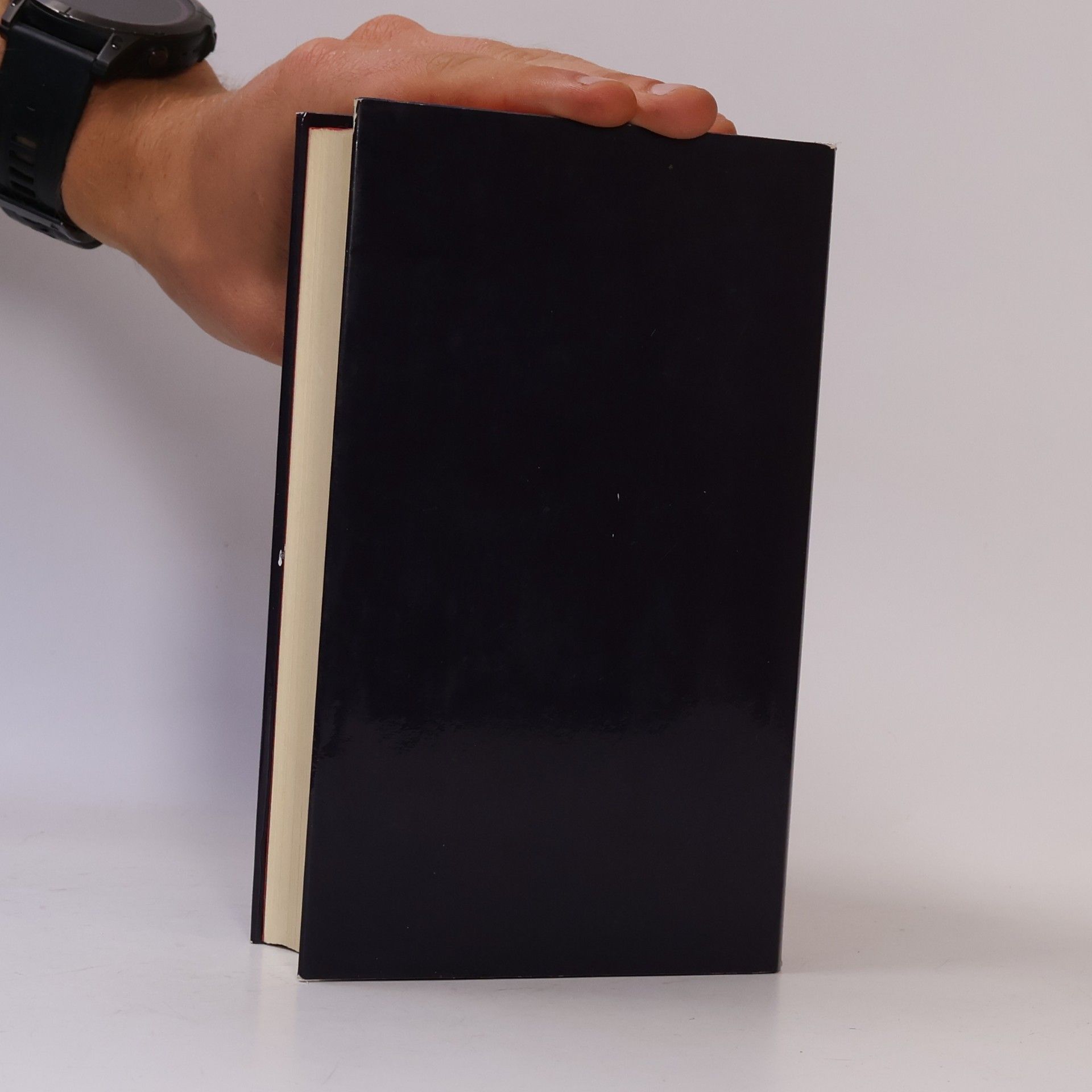 Marguerite Yourcenar Die schwarze Flamme