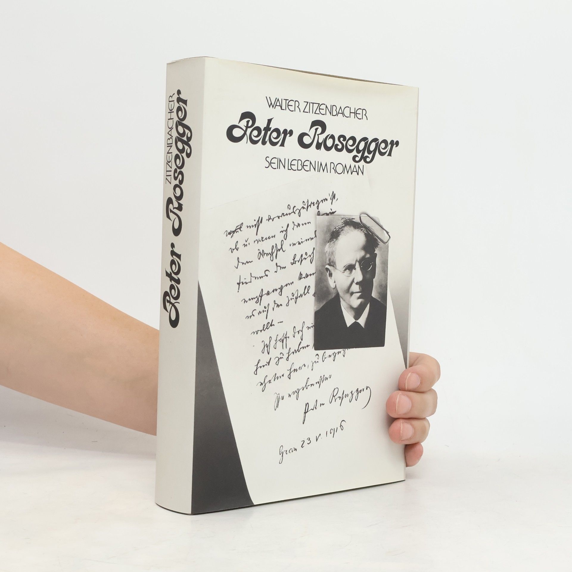 Peter Rosegger. Sein Leben im Roman